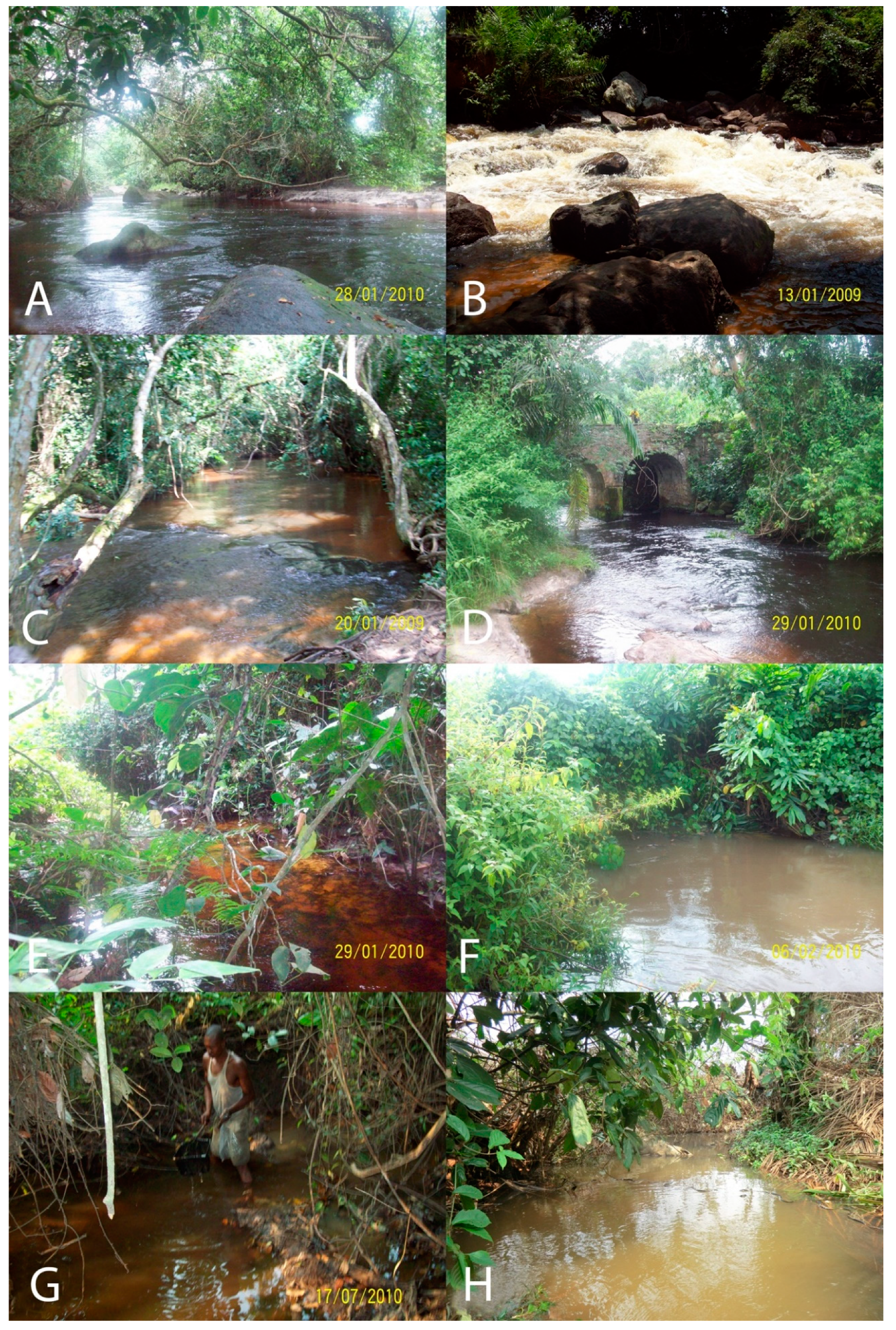 Diversity 13 00341 g0a2 Diversity 13 00341 g0a2