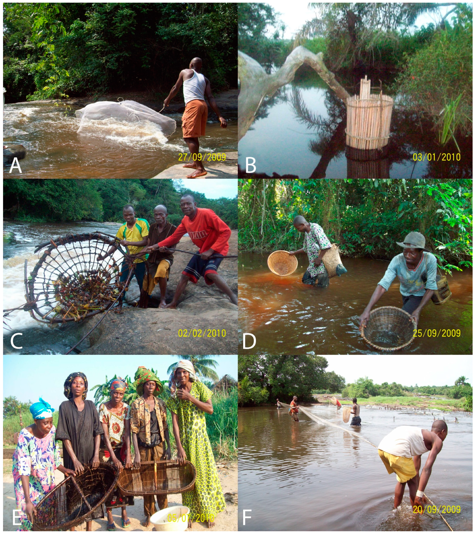 Diversity 13 00341 g0a3 Diversity 13 00341 g0a3