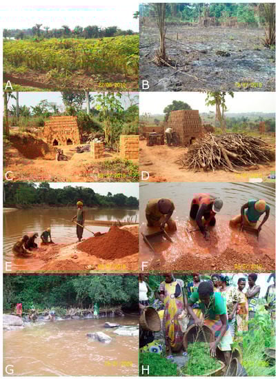 Diversity 13 00341 g0a7