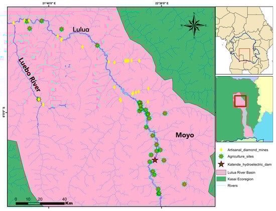 Diversity 13 00341 g0a8
