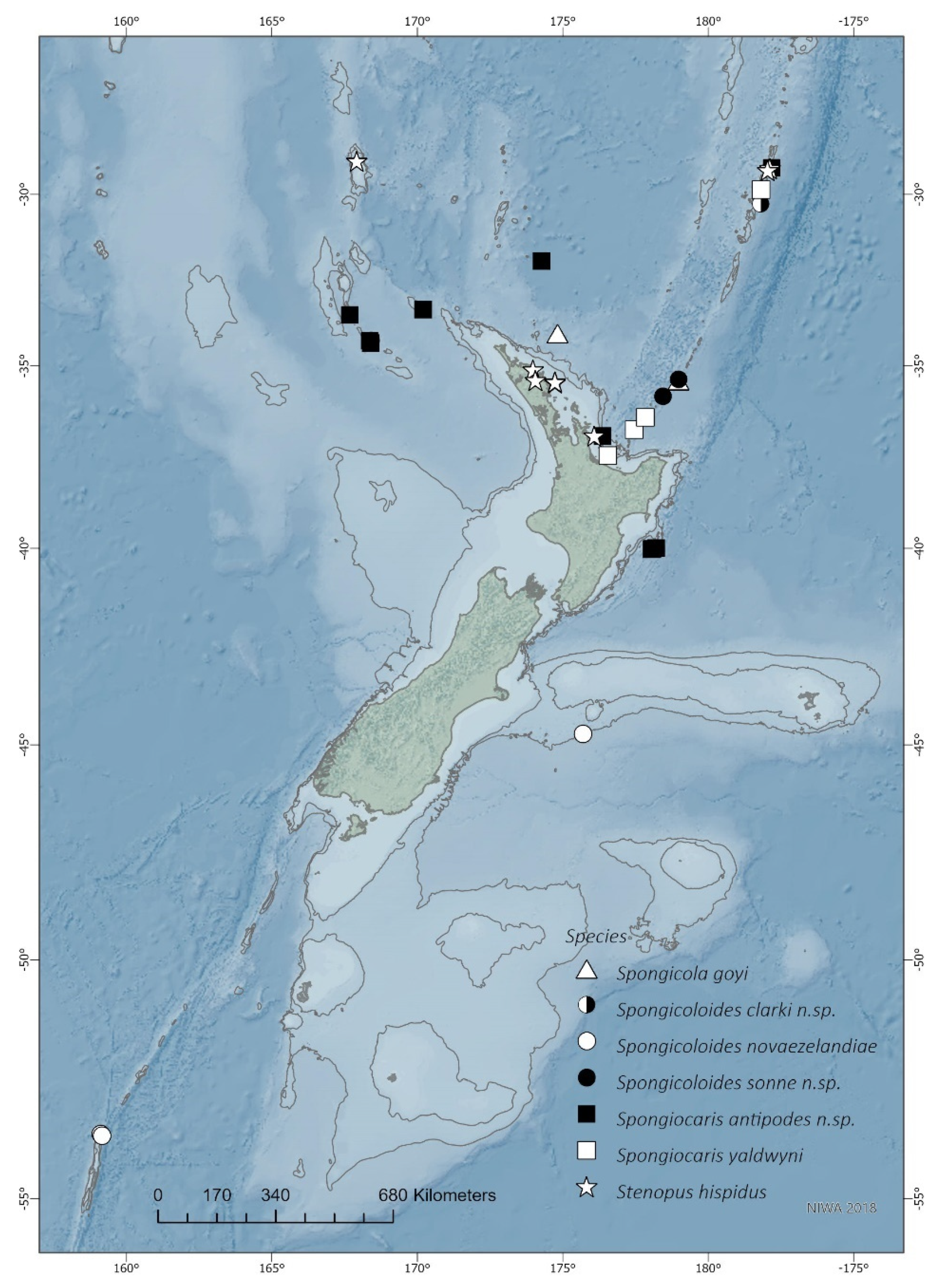 Diversity 13 00343 g001