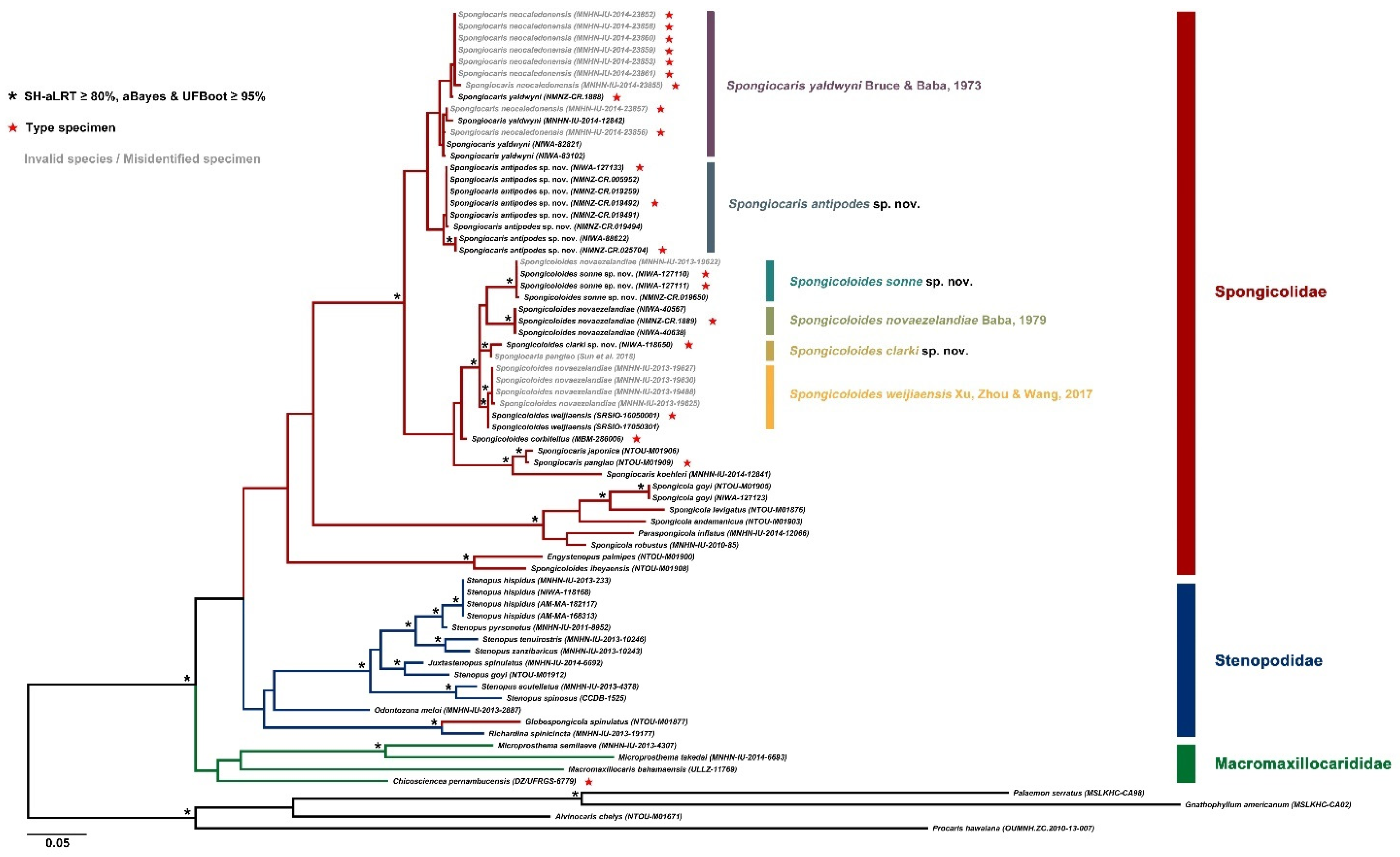 Diversity 13 00343 g002