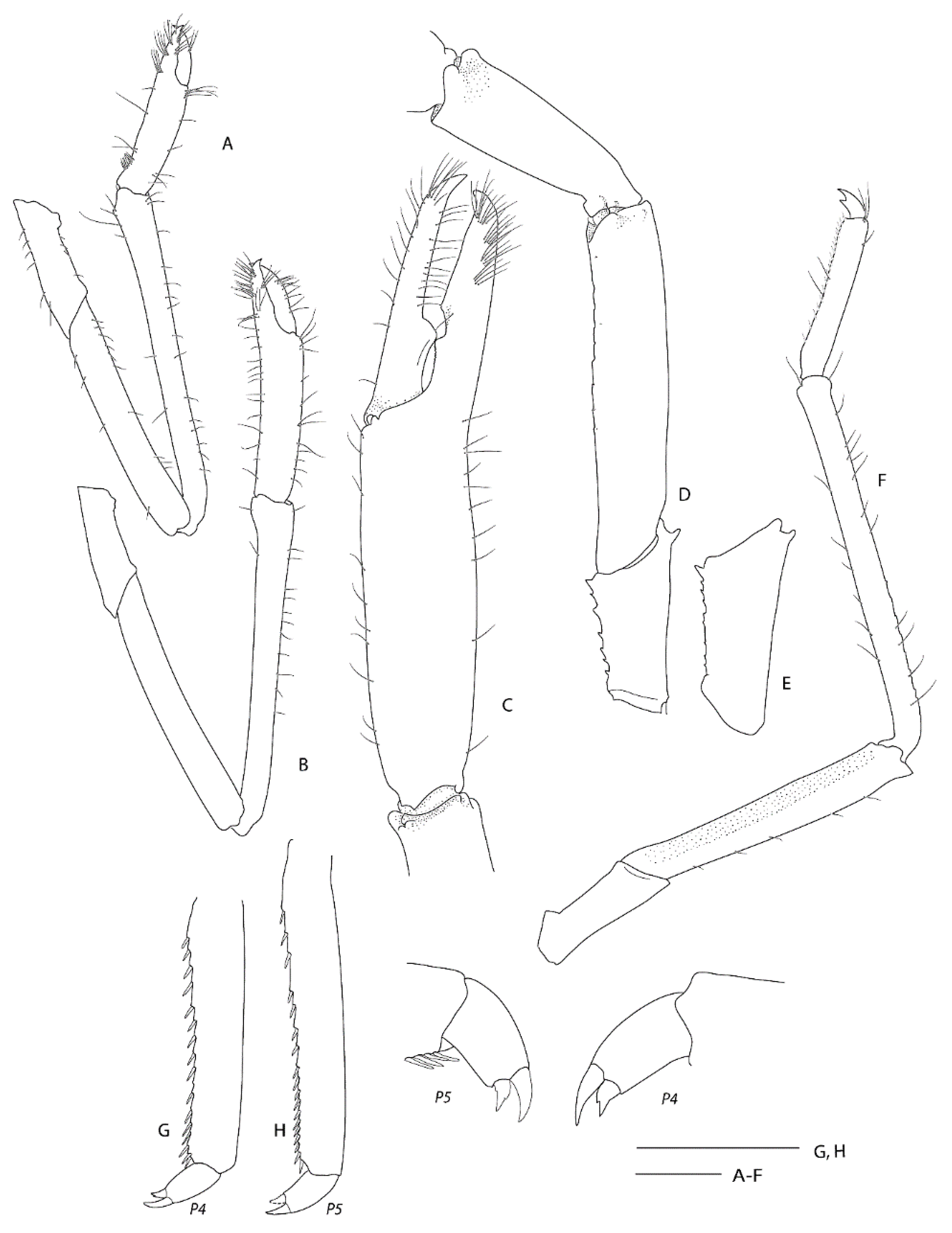 Diversity 13 00343 g006