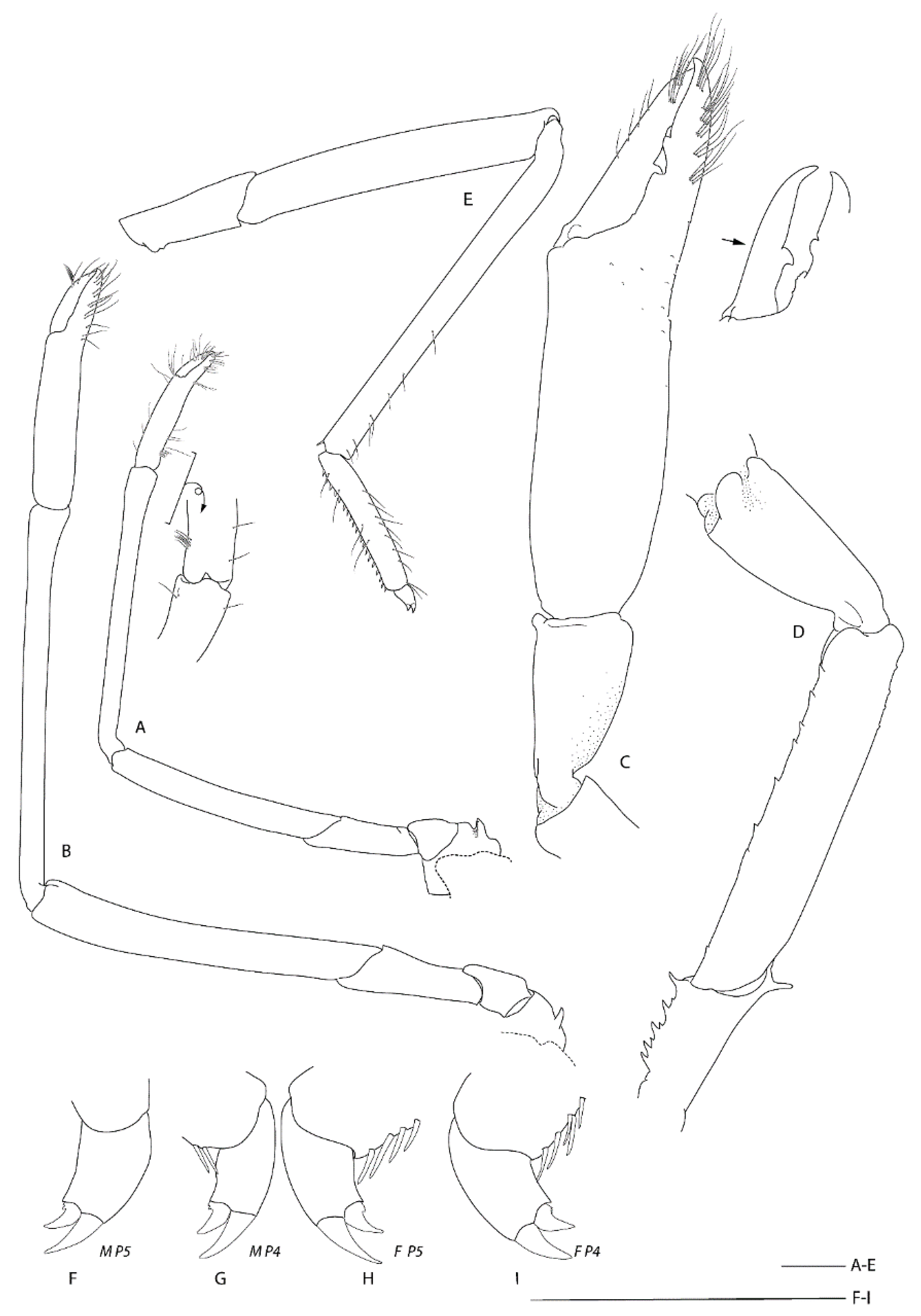 Diversity 13 00343 g013