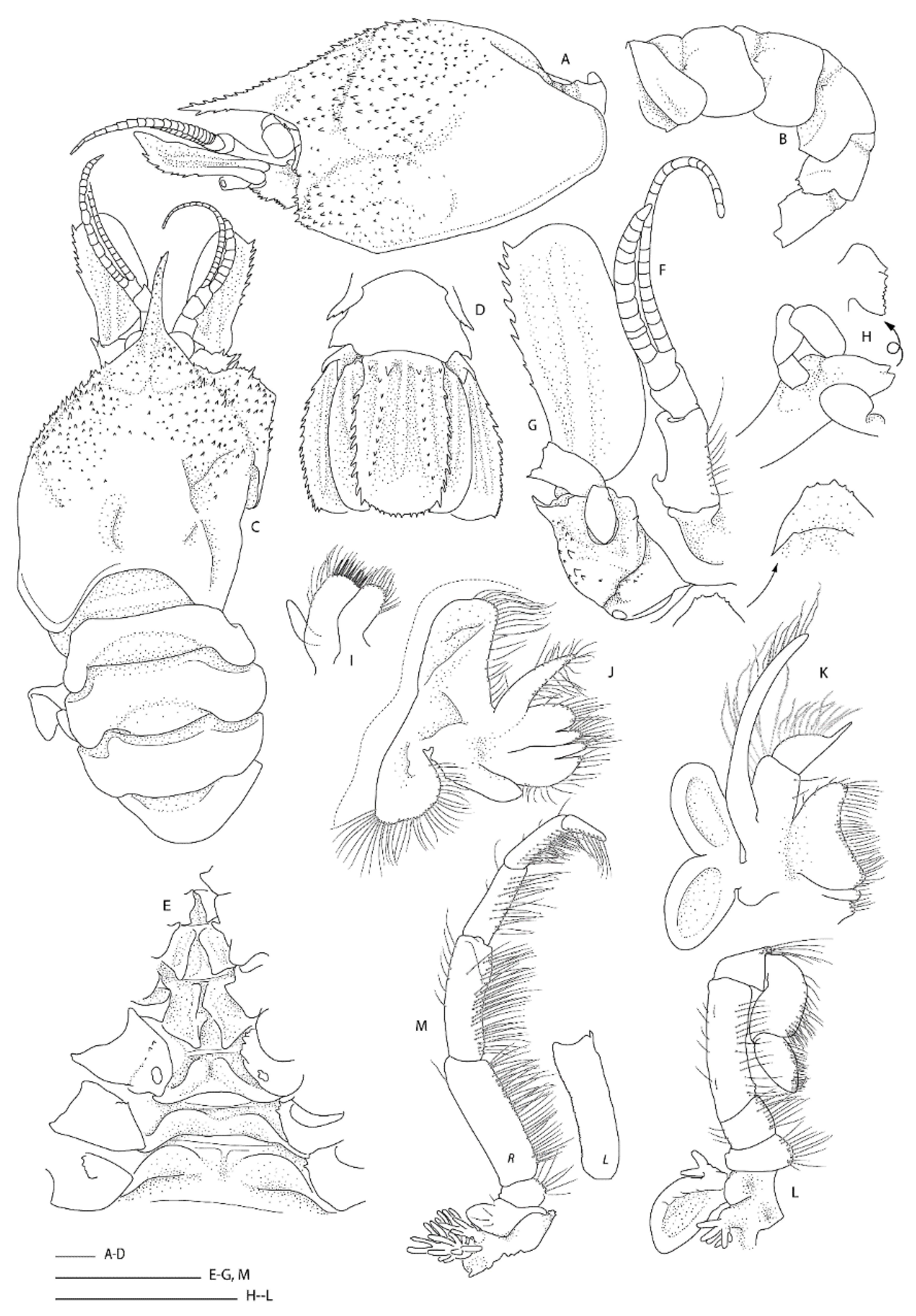 Diversity 13 00343 g016