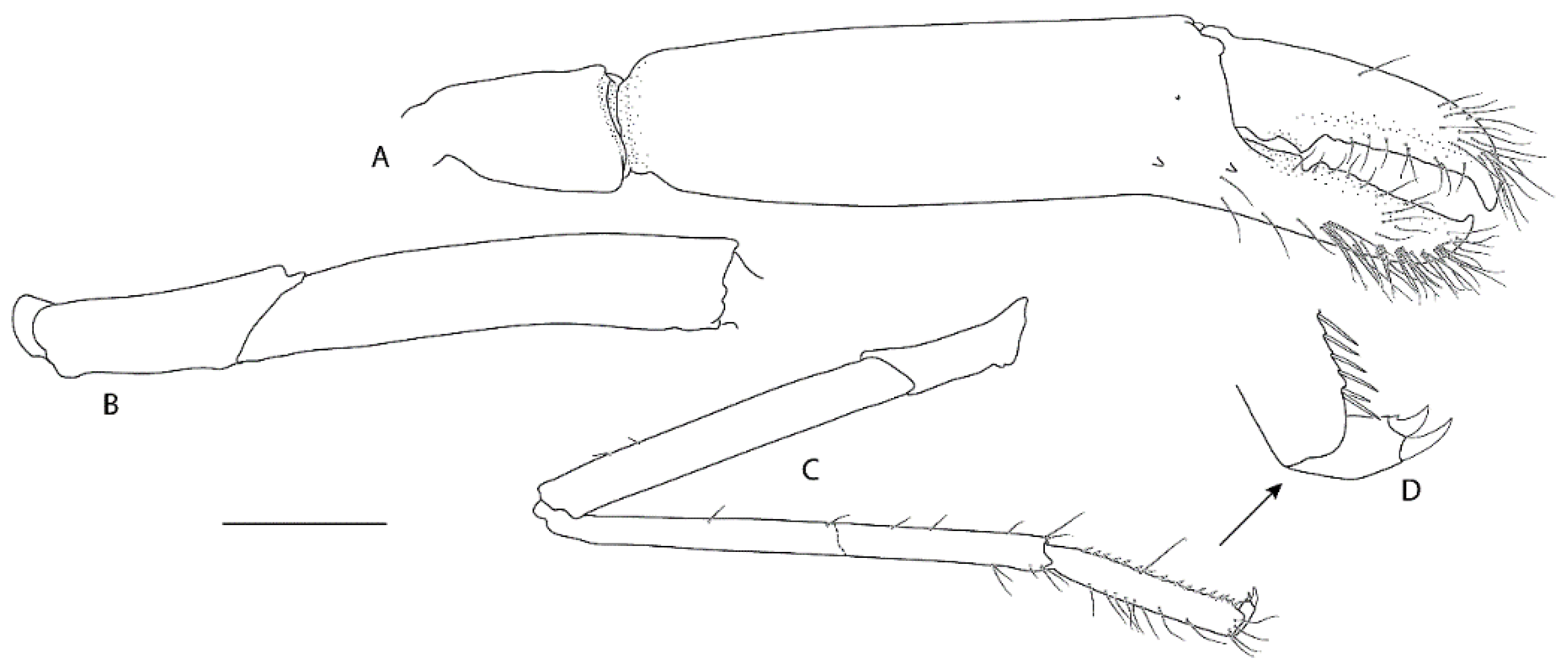 Diversity 13 00343 g019