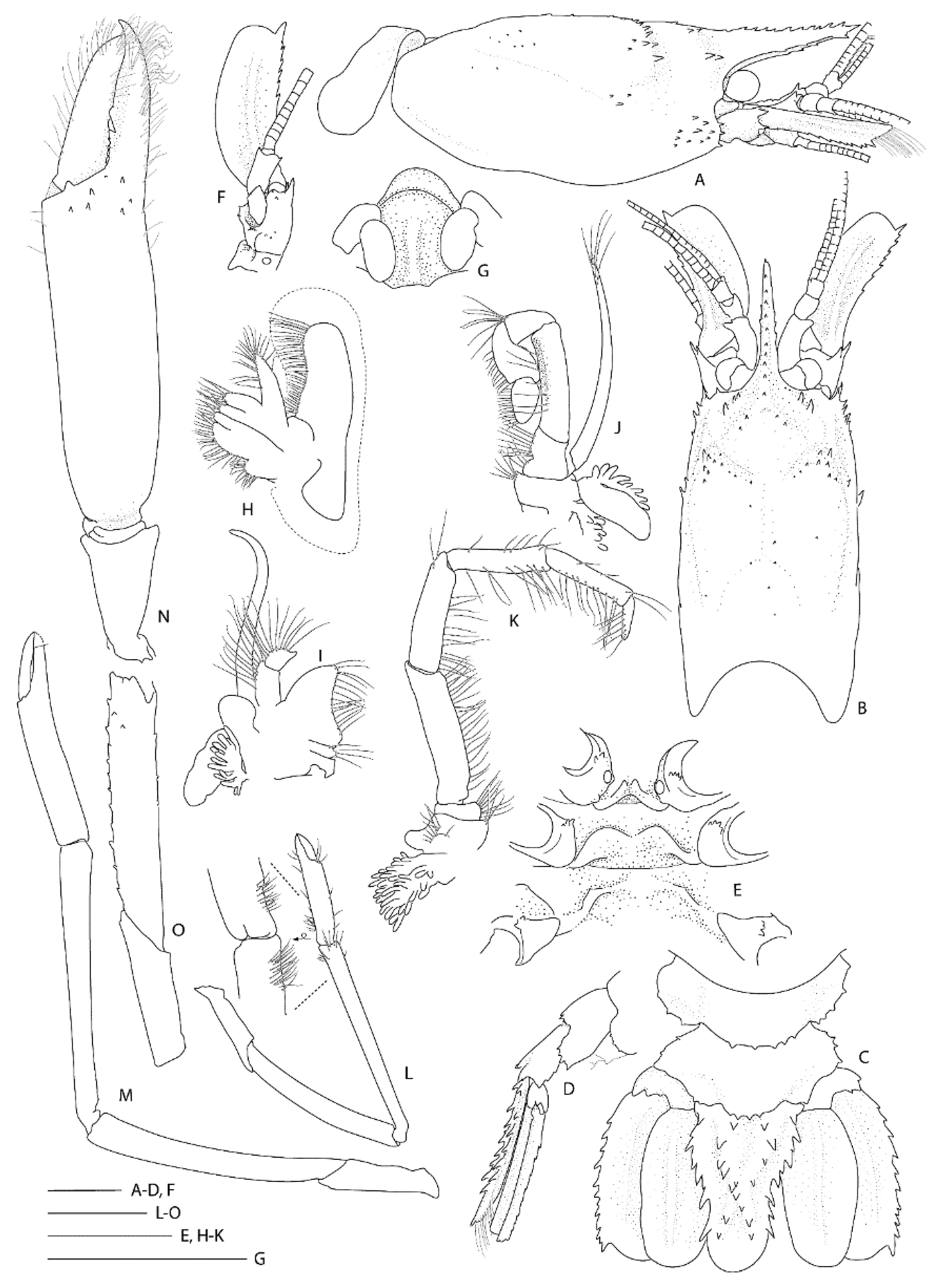 Diversity 13 00343 g020