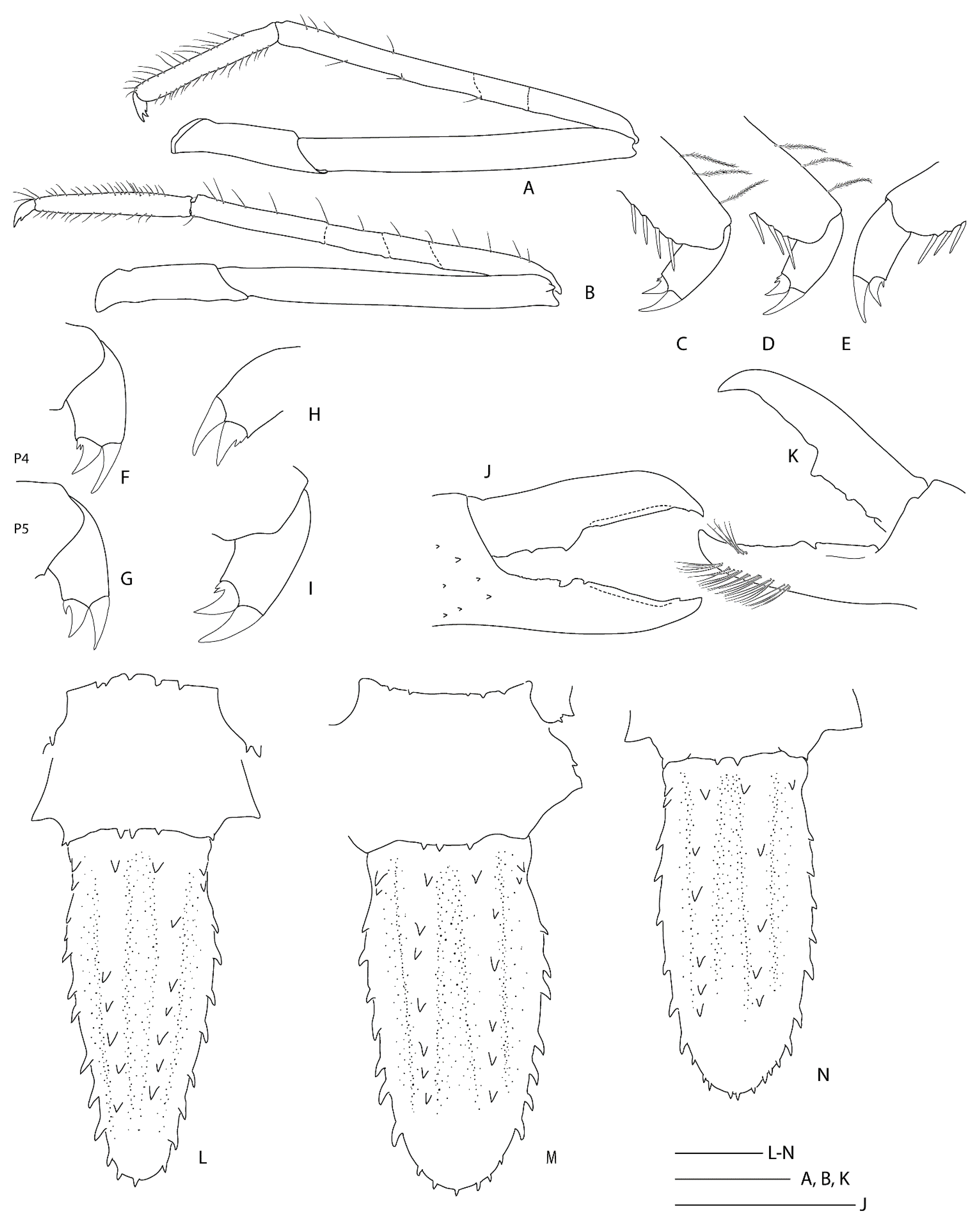 Diversity 13 00343 g021