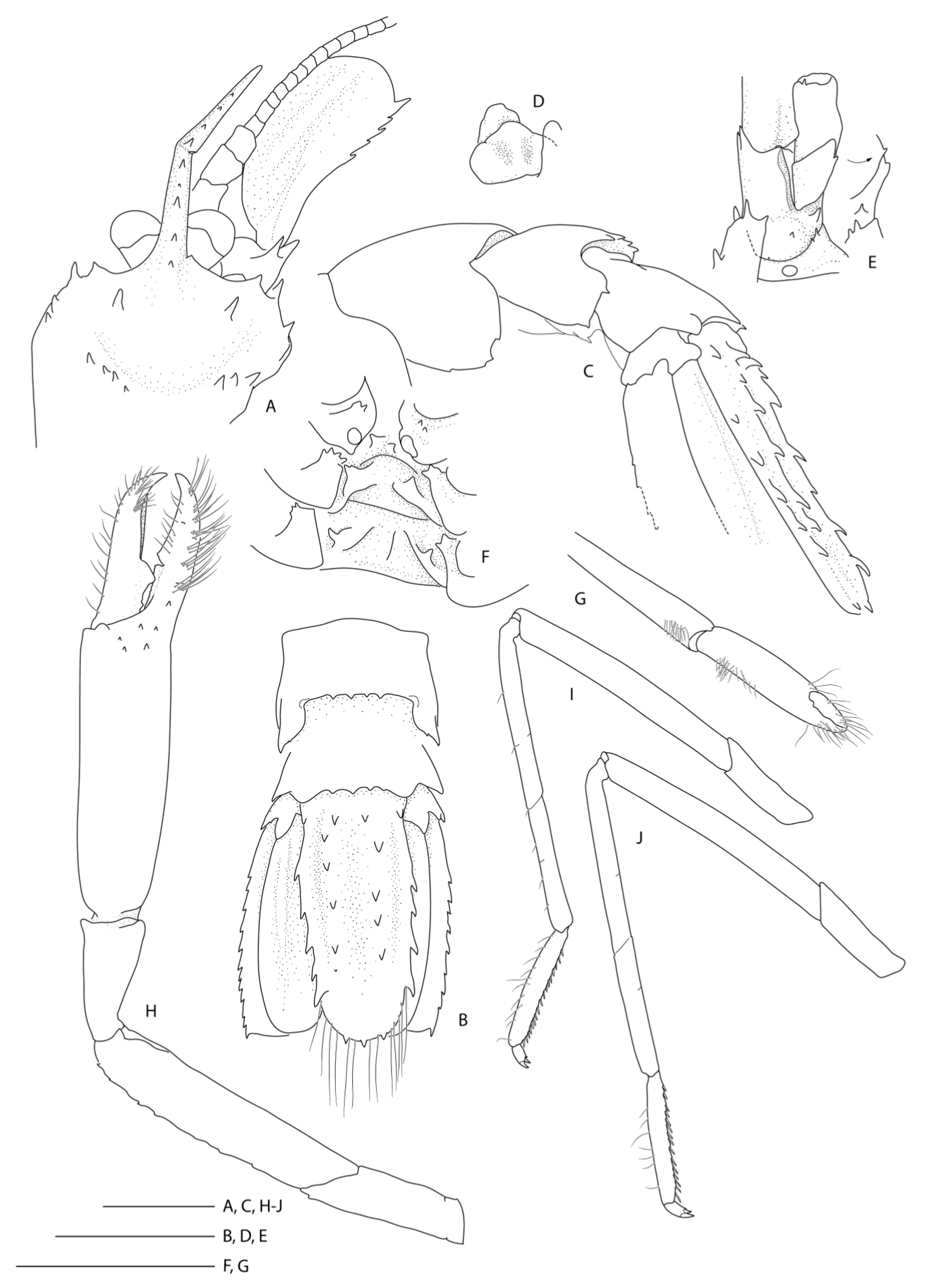 Diversity 13 00343 g023