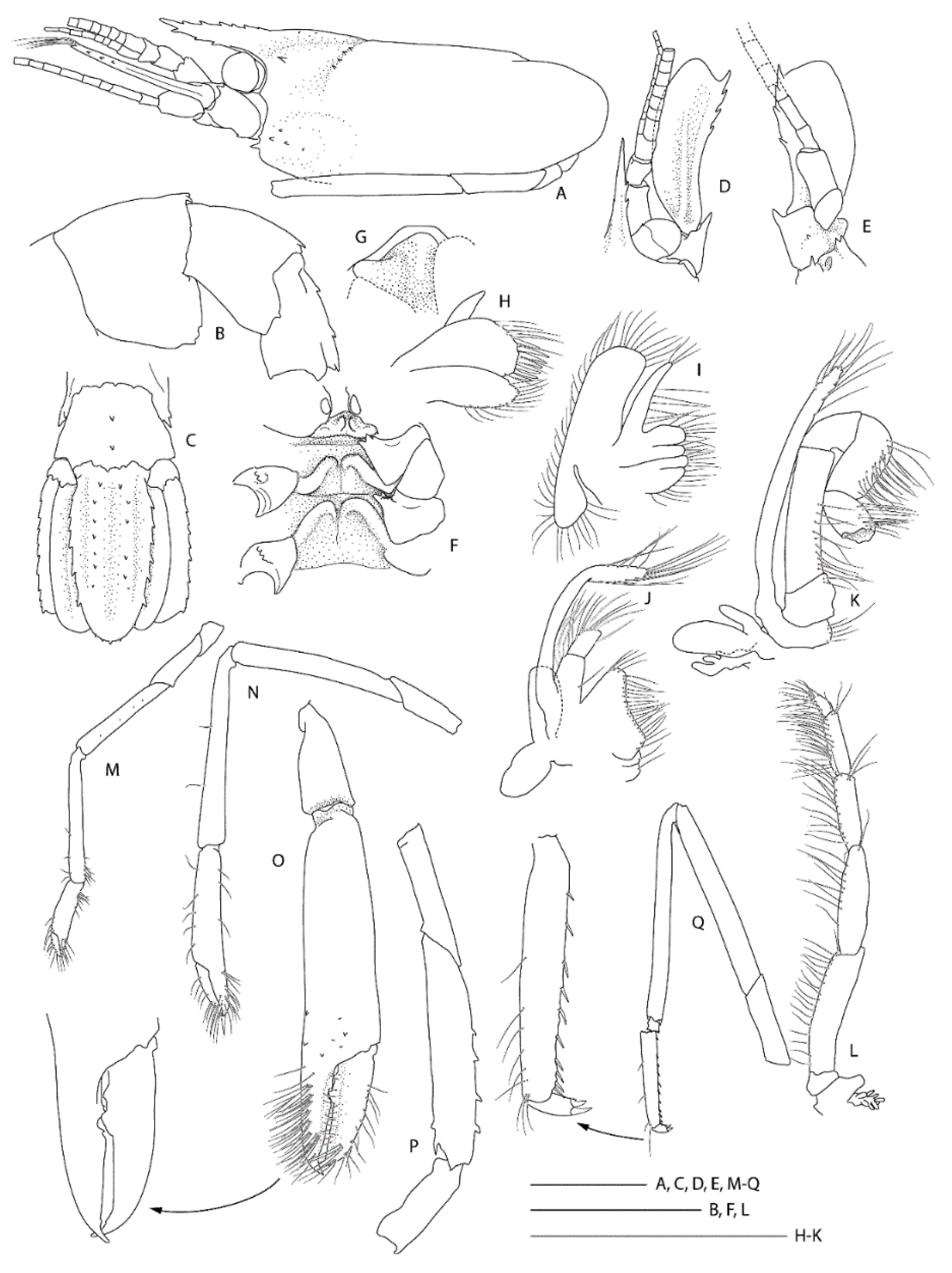 Diversity 13 00343 g024