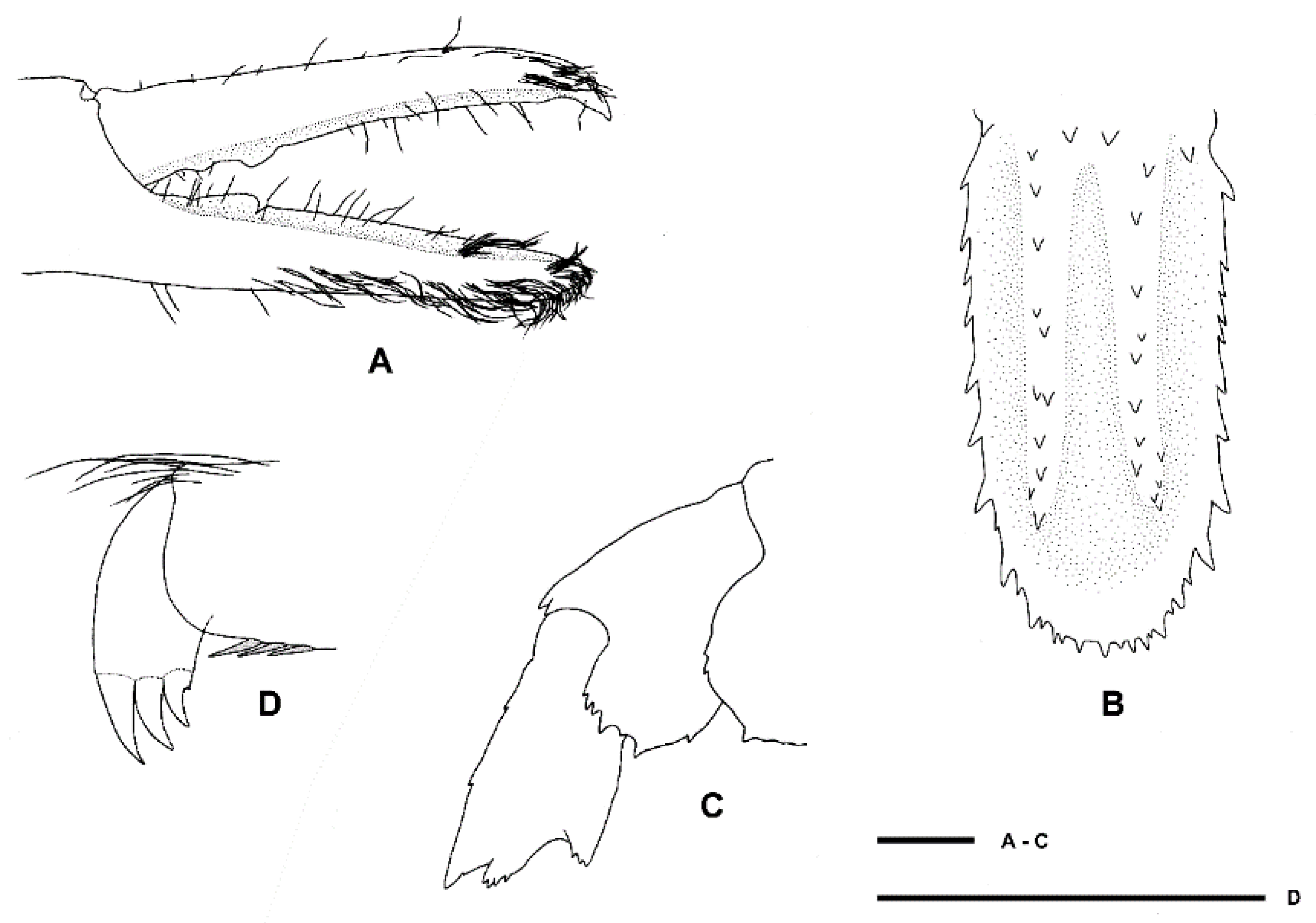 Diversity 13 00343 g025