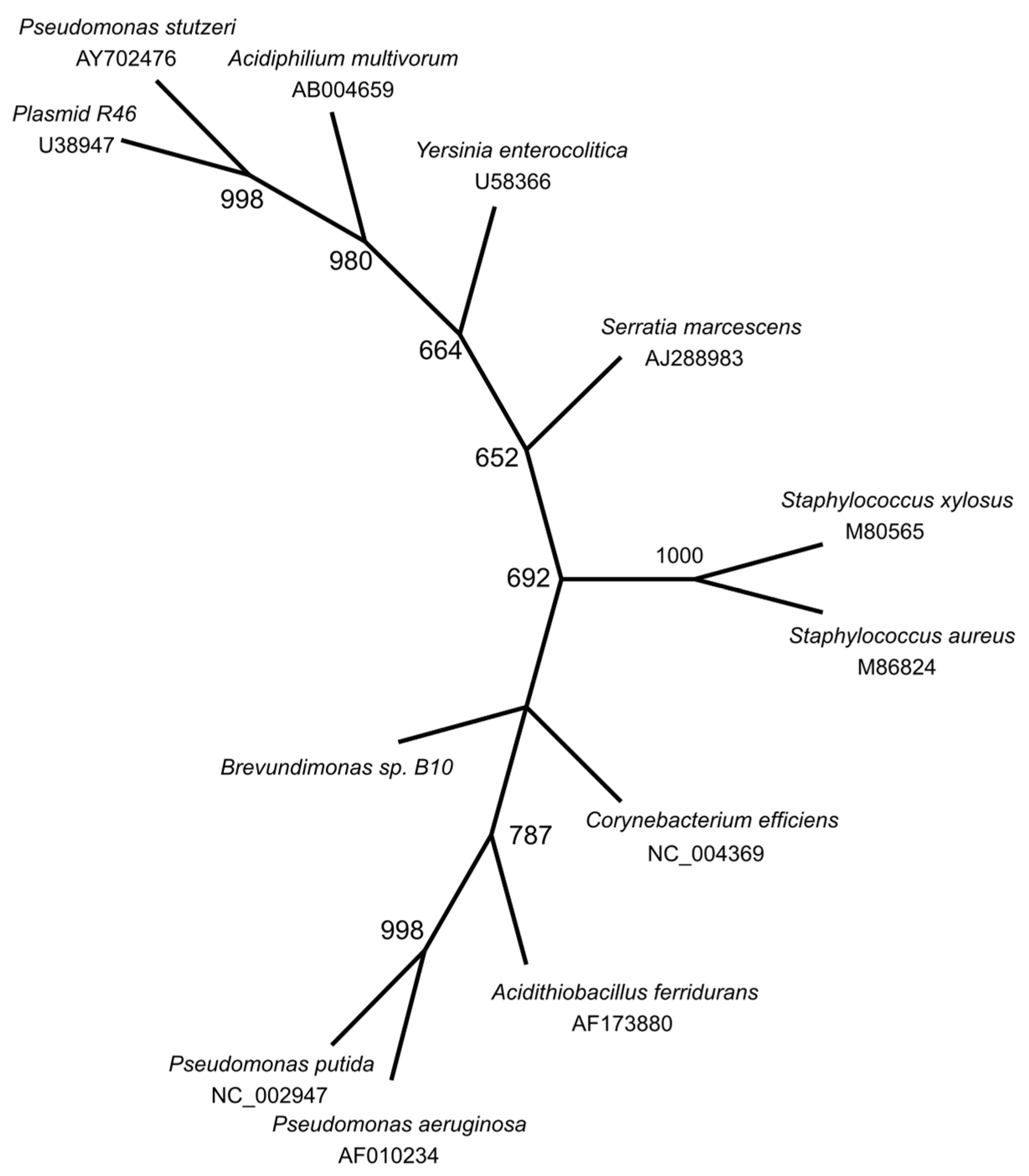 Diversity 13 00344 g001