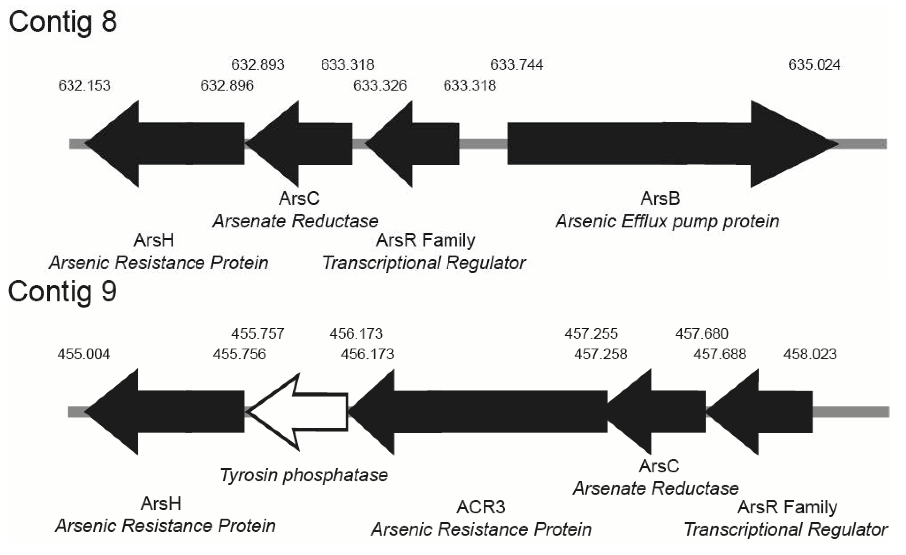 Diversity 13 00344 g003