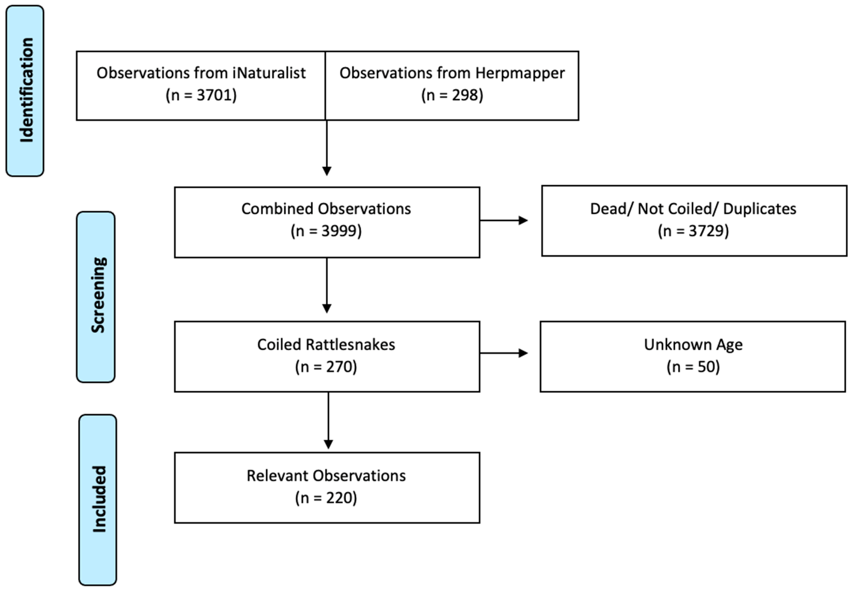 Diversity 13 00349 g001