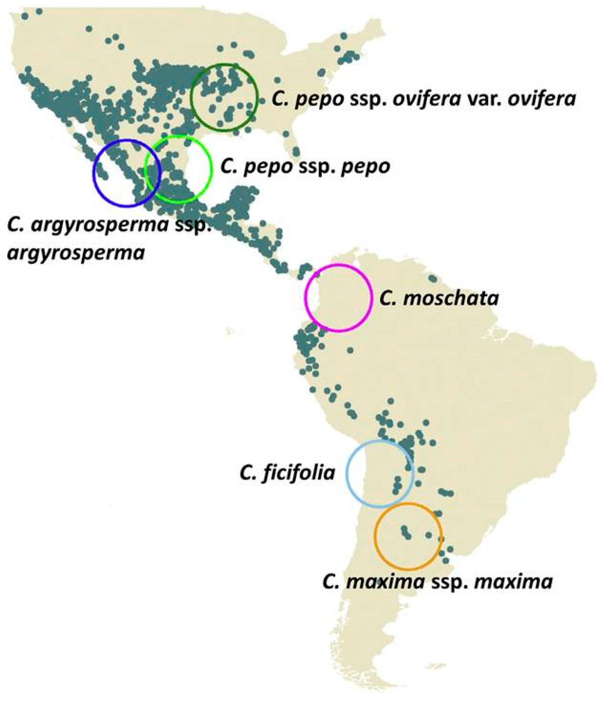 Diversity 13 00354 g002 Diversity 13 00354 g002