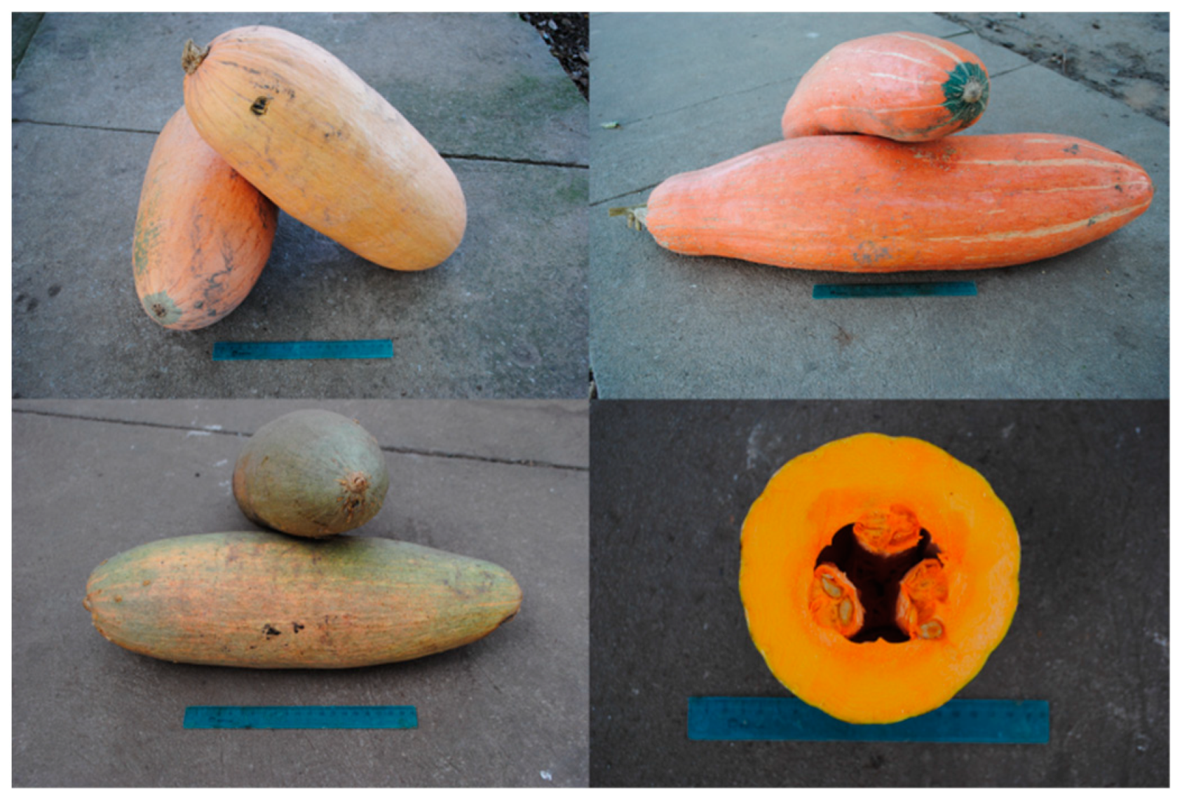 Diversity 13 00354 g005 Diversity 13 00354 g005