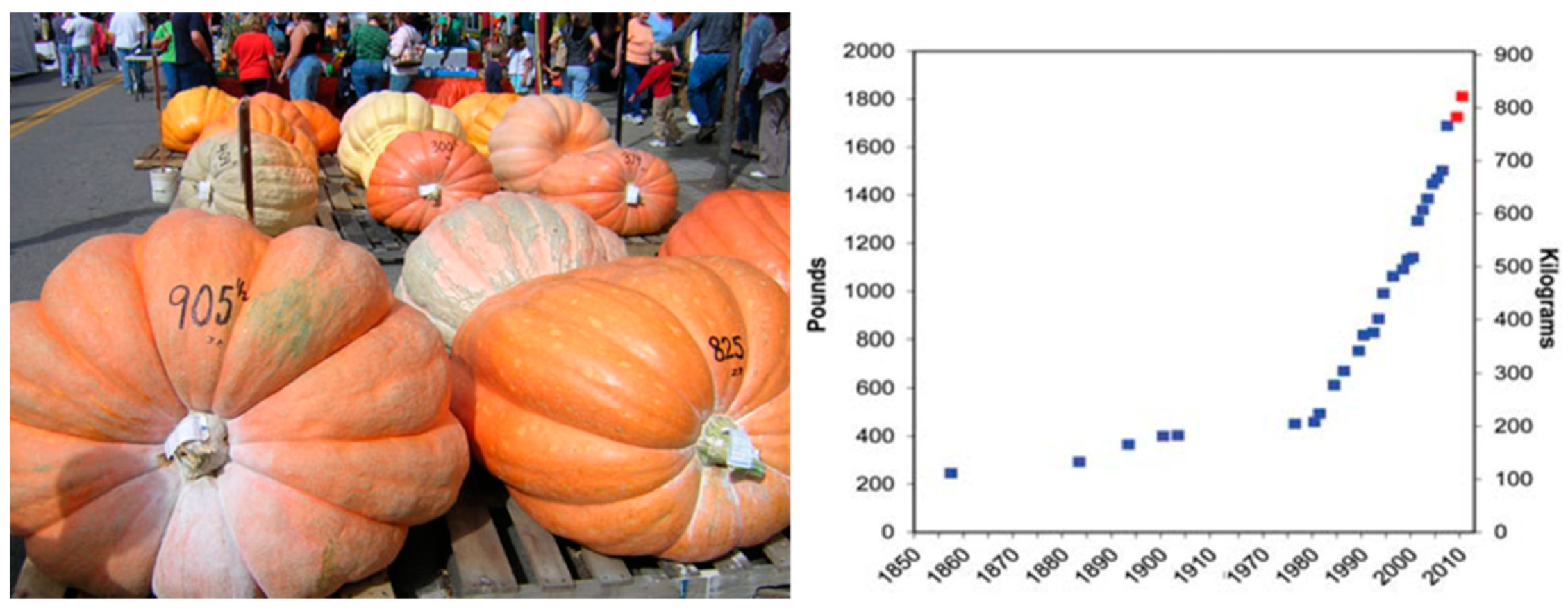 Diversity 13 00354 g006 Diversity 13 00354 g006