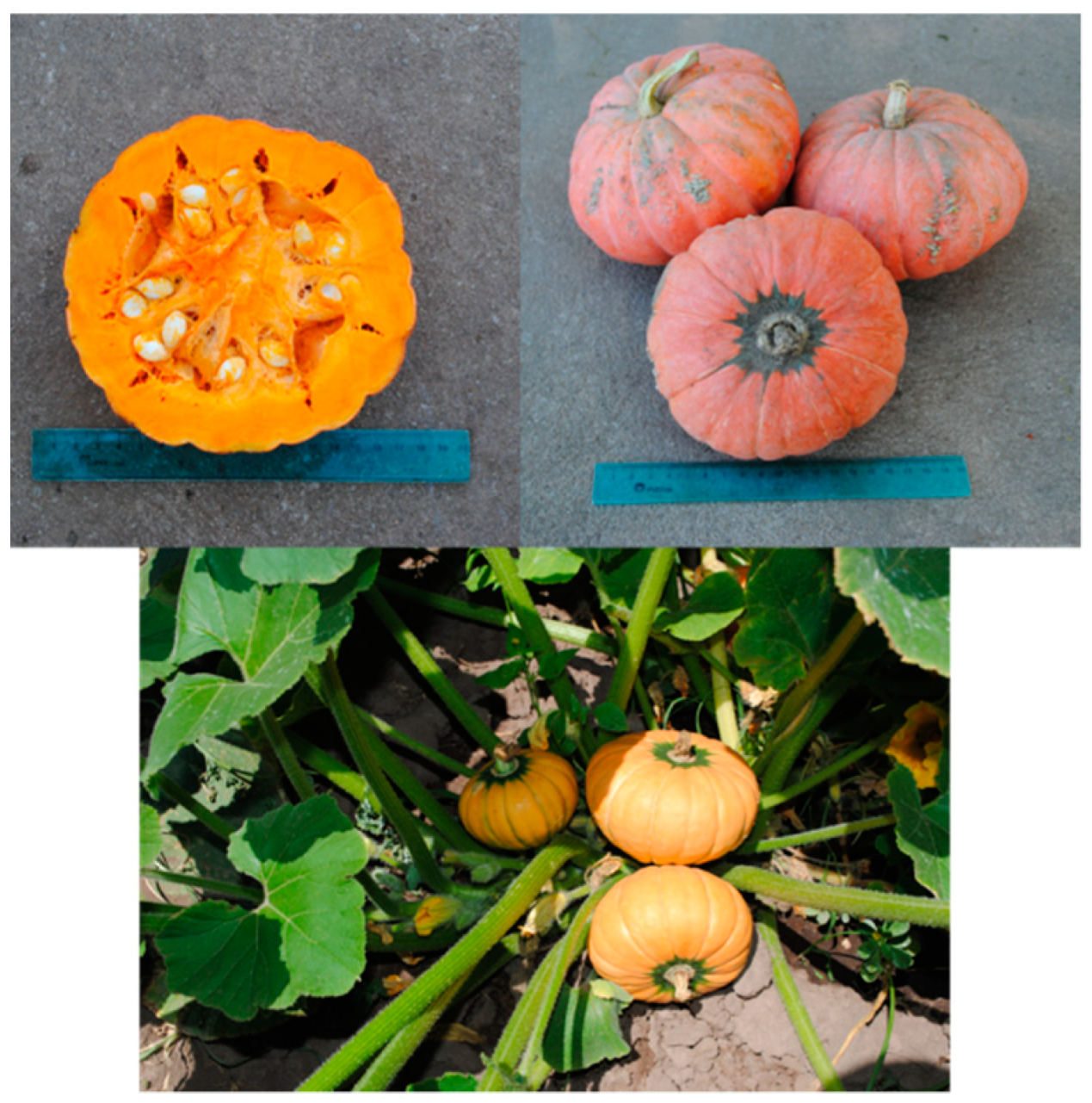 Diversity 13 00354 g008 Diversity 13 00354 g008