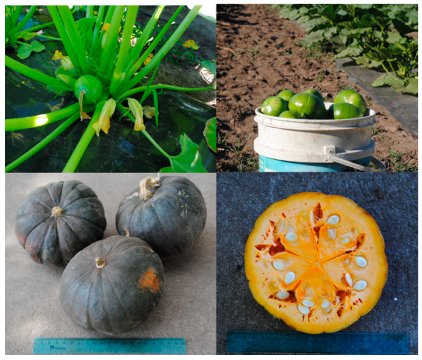 Diversity 13 00354 g009 Diversity 13 00354 g009