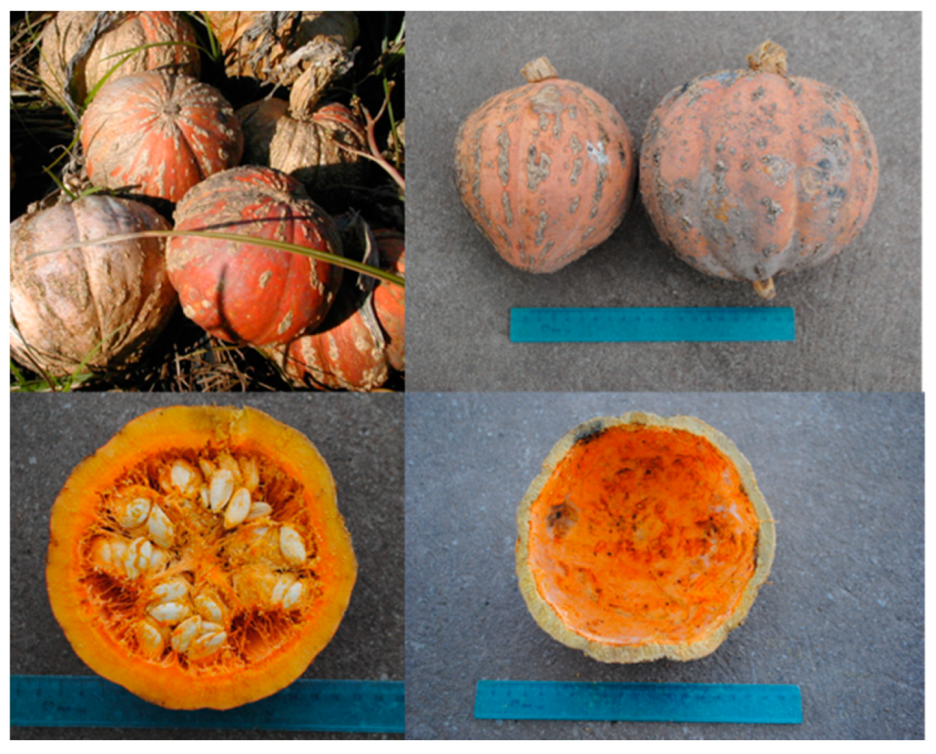 Diversity 13 00354 g012 Diversity 13 00354 g012