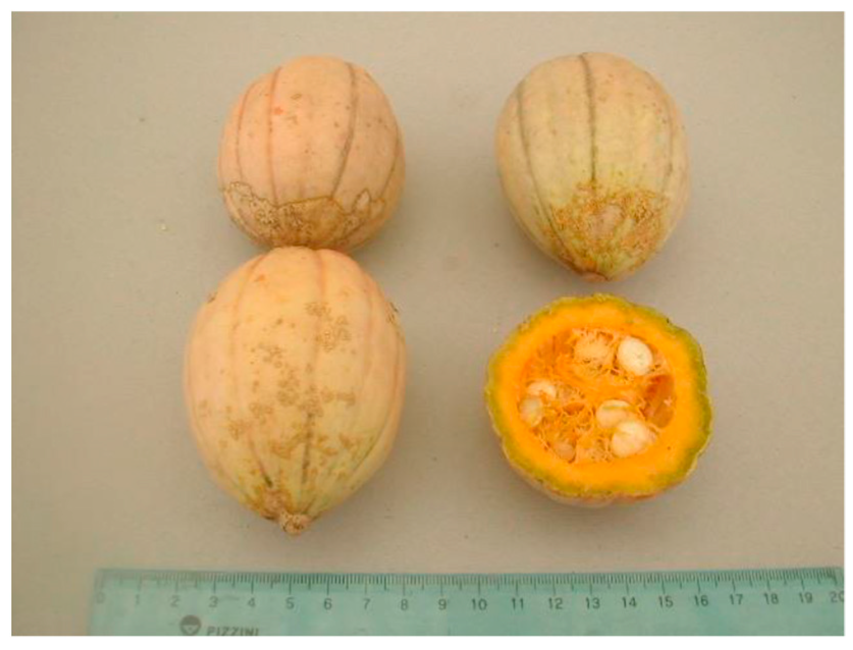 Diversity 13 00354 g016 Diversity 13 00354 g016