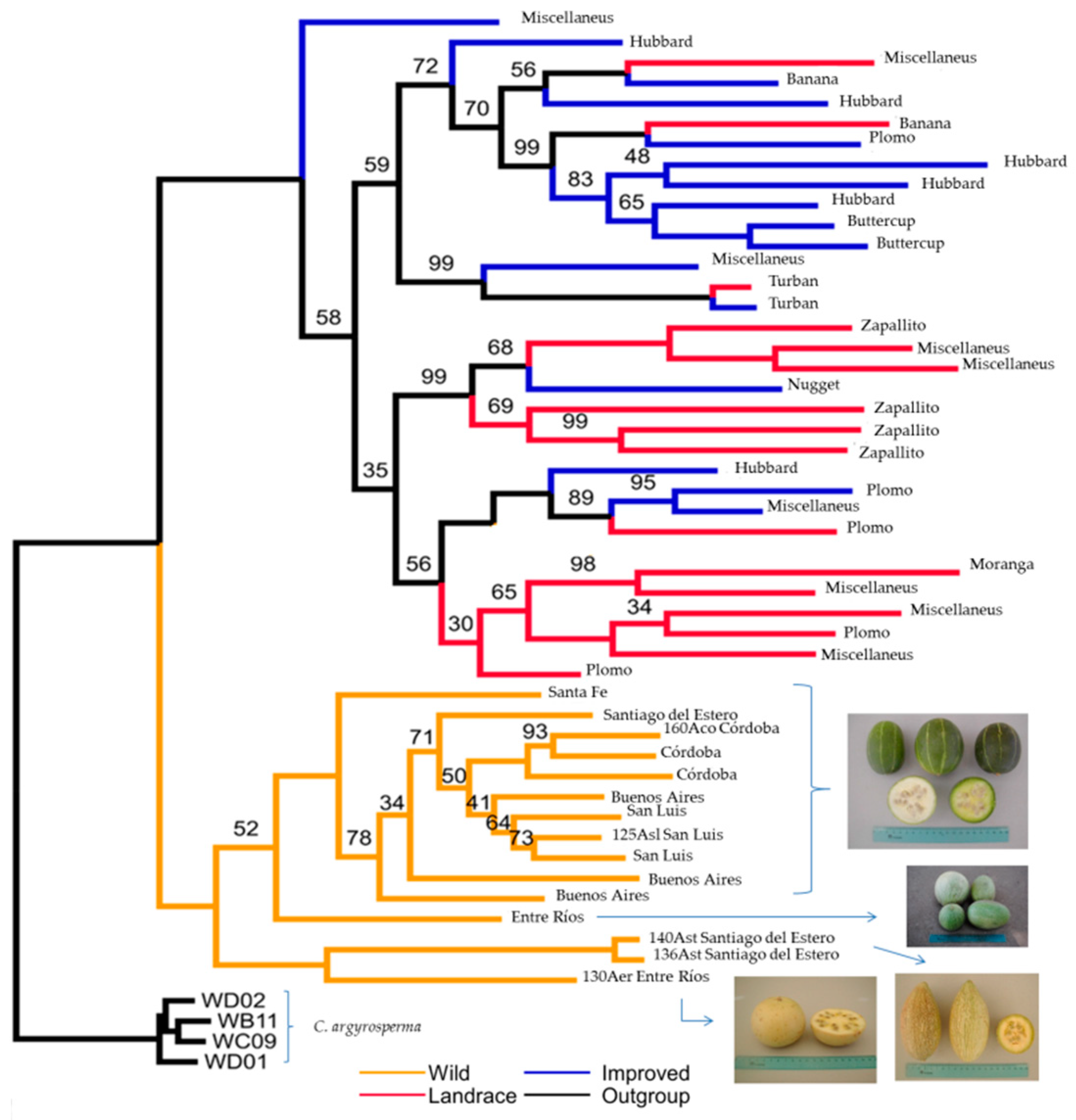 Diversity 13 00354 g017 Diversity 13 00354 g017