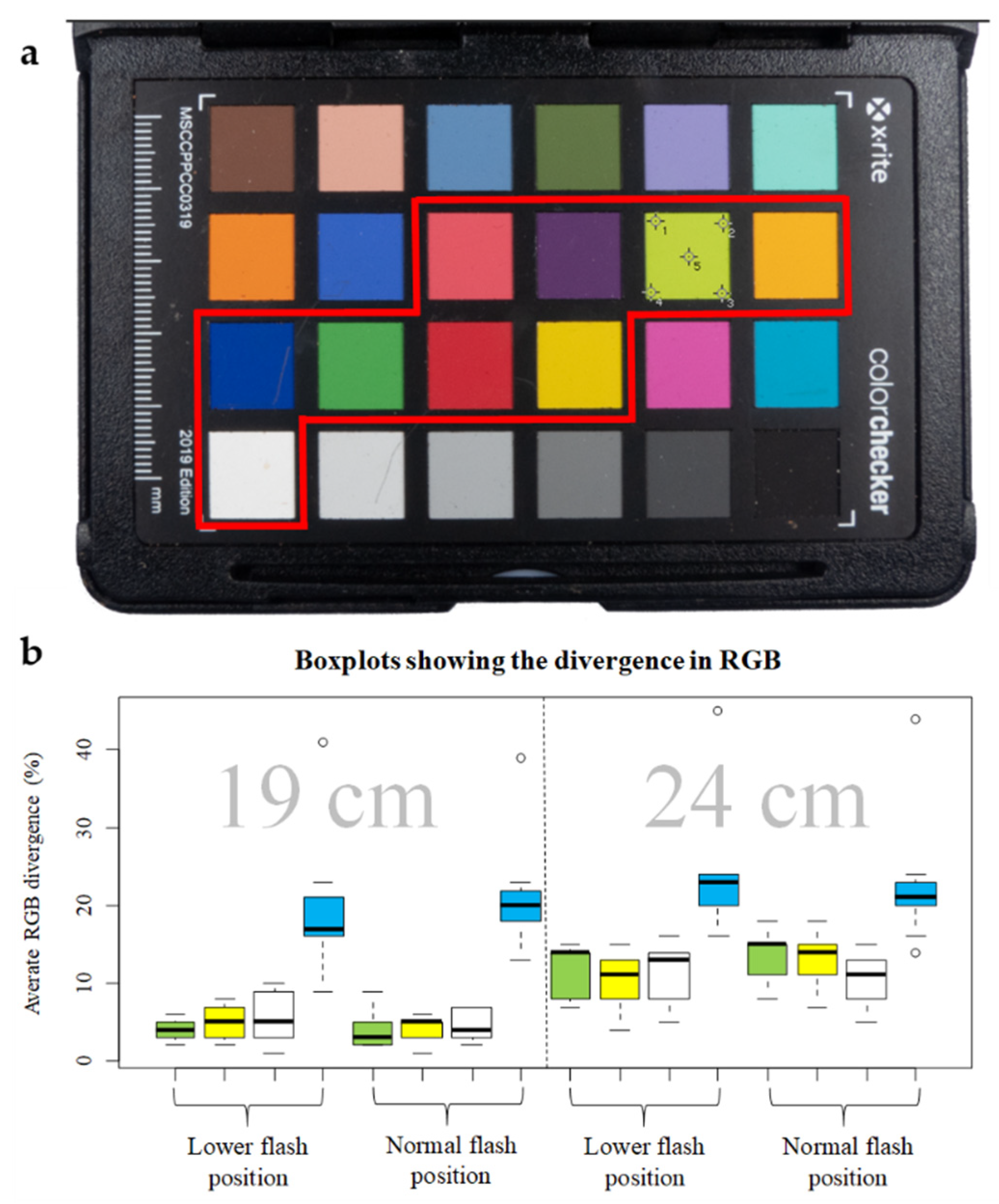 Diversity 13 00356 g002
