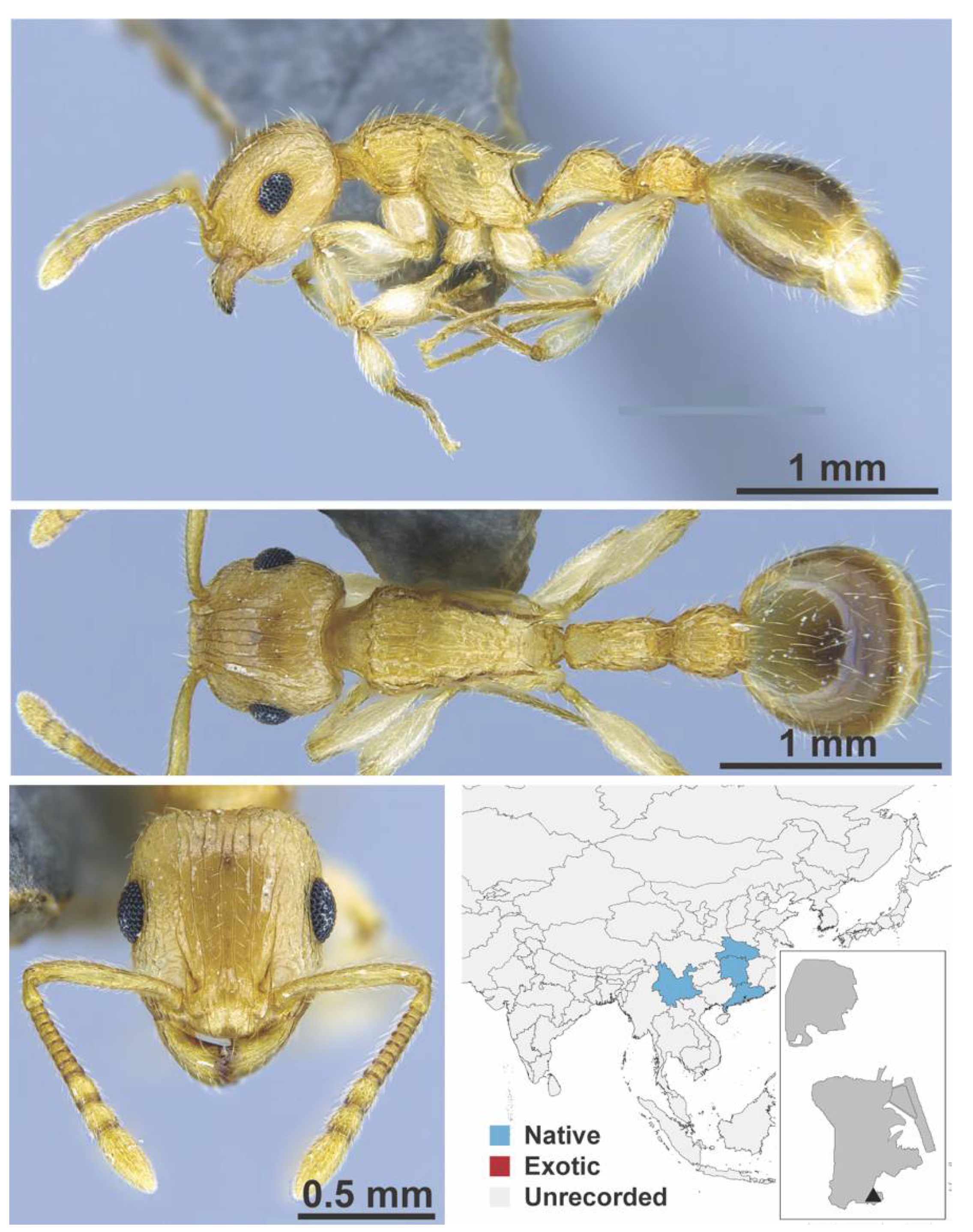 Diversity 13 00358 g0a105