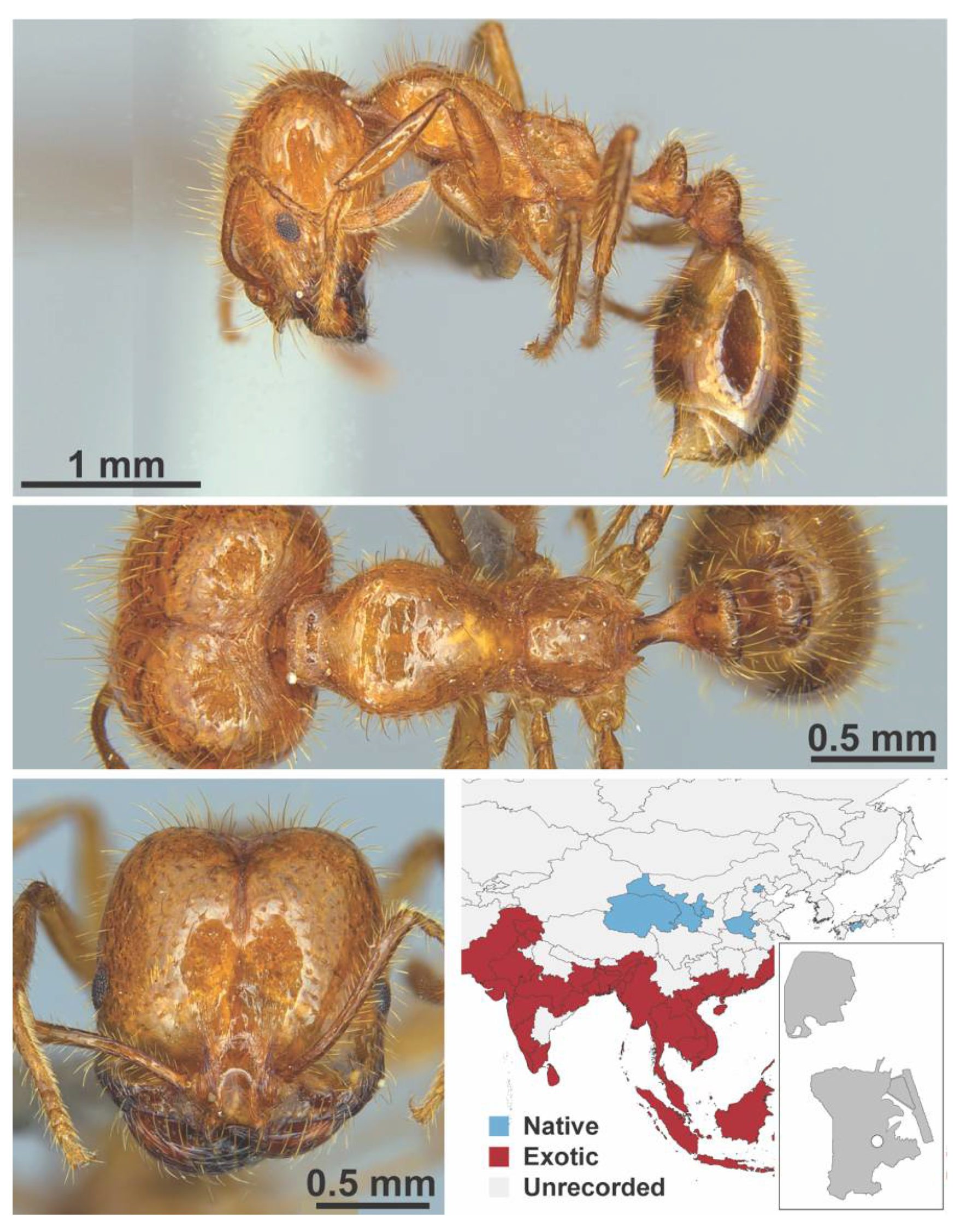 Diversity 13 00358 g0a107