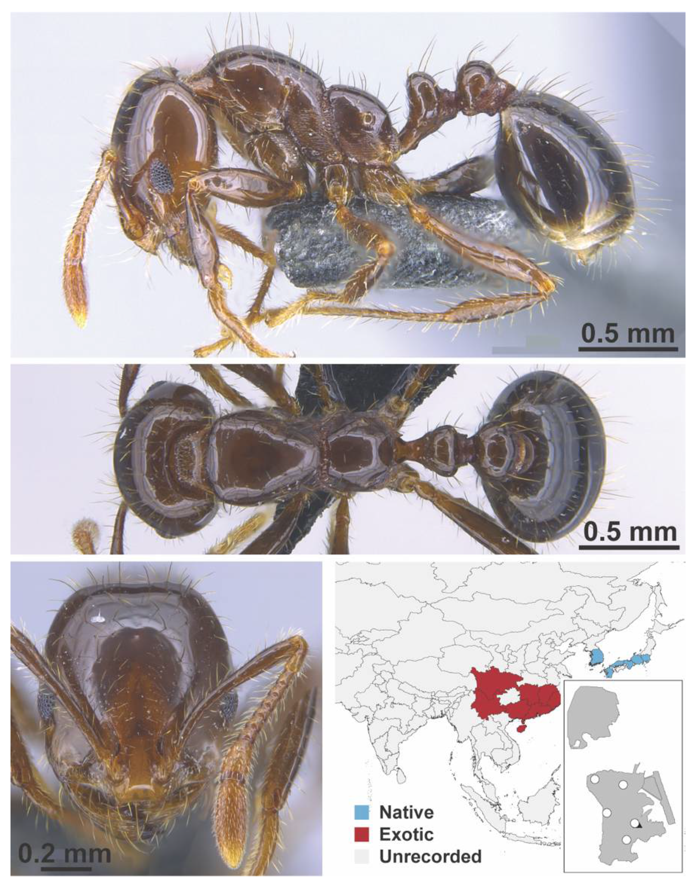 Diversity 13 00358 g0a108