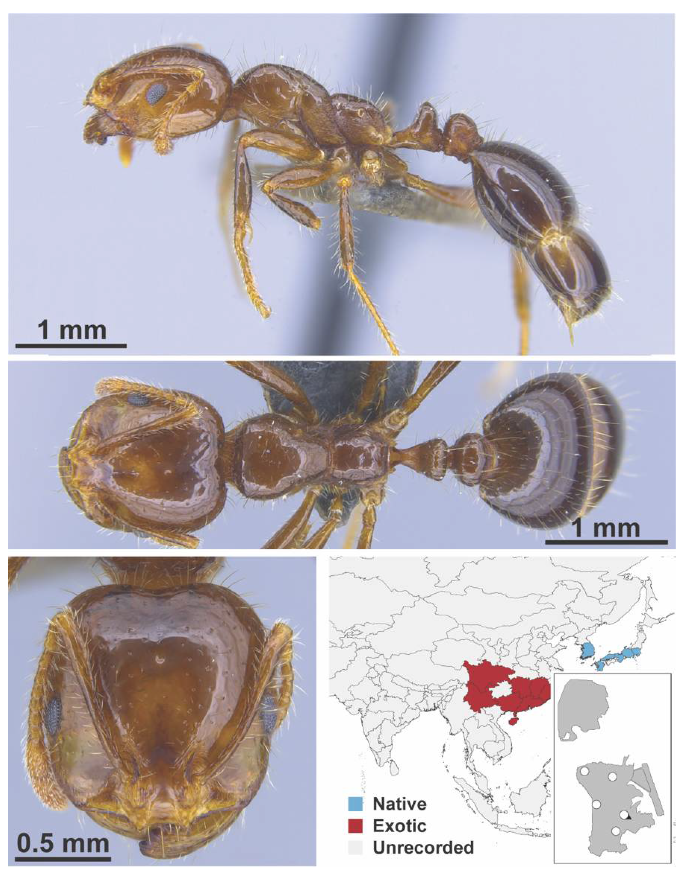 Diversity 13 00358 g0a109