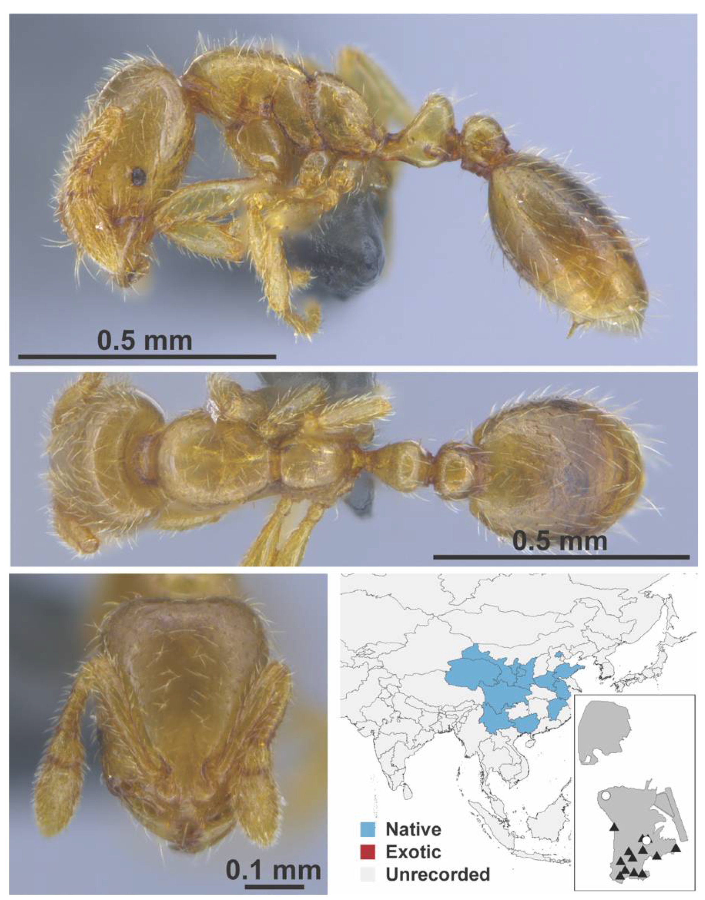 Diversity 13 00358 g0a110