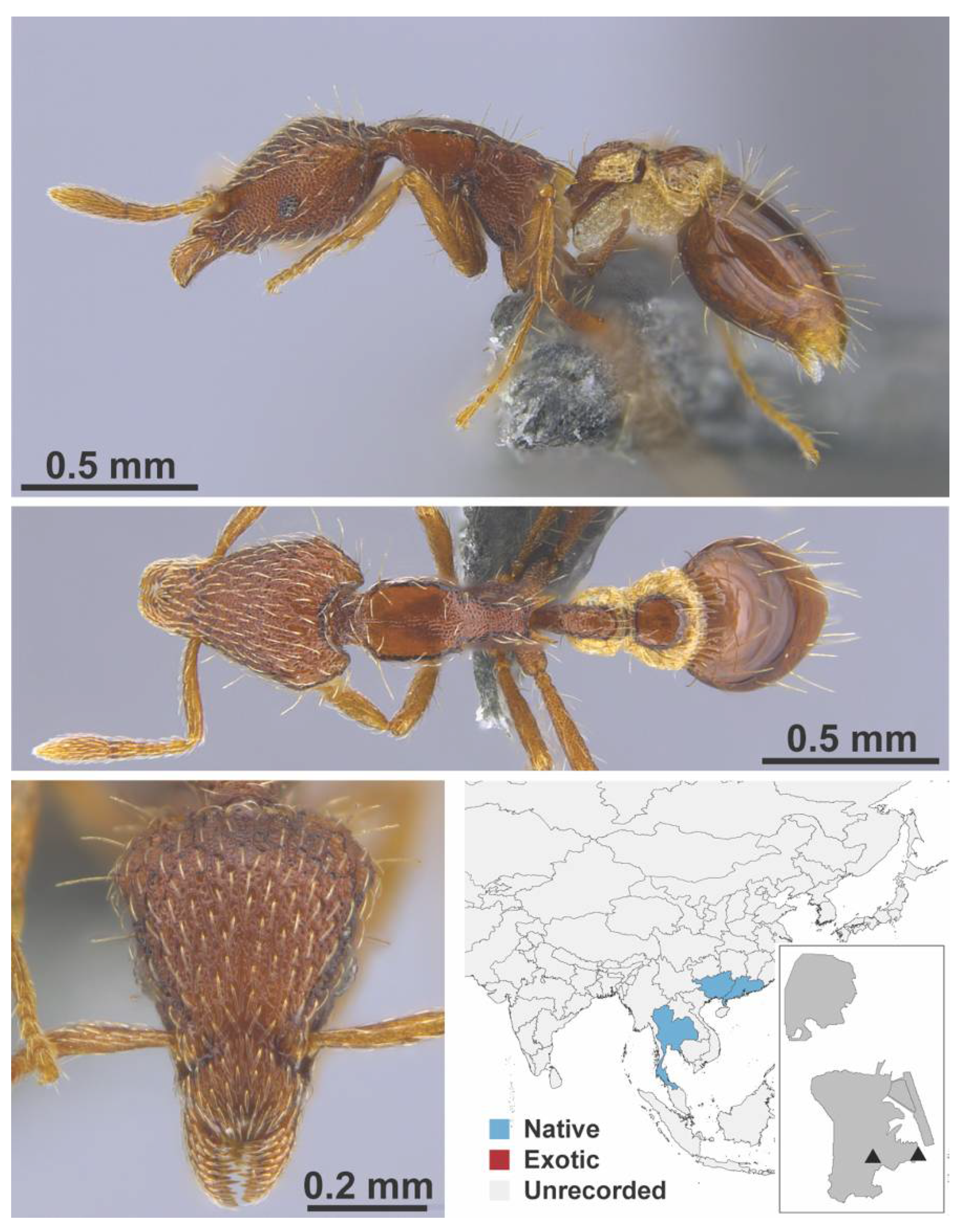 Diversity 13 00358 g0a111