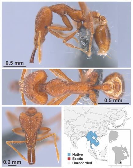 Diversity 13 00358 g0a114