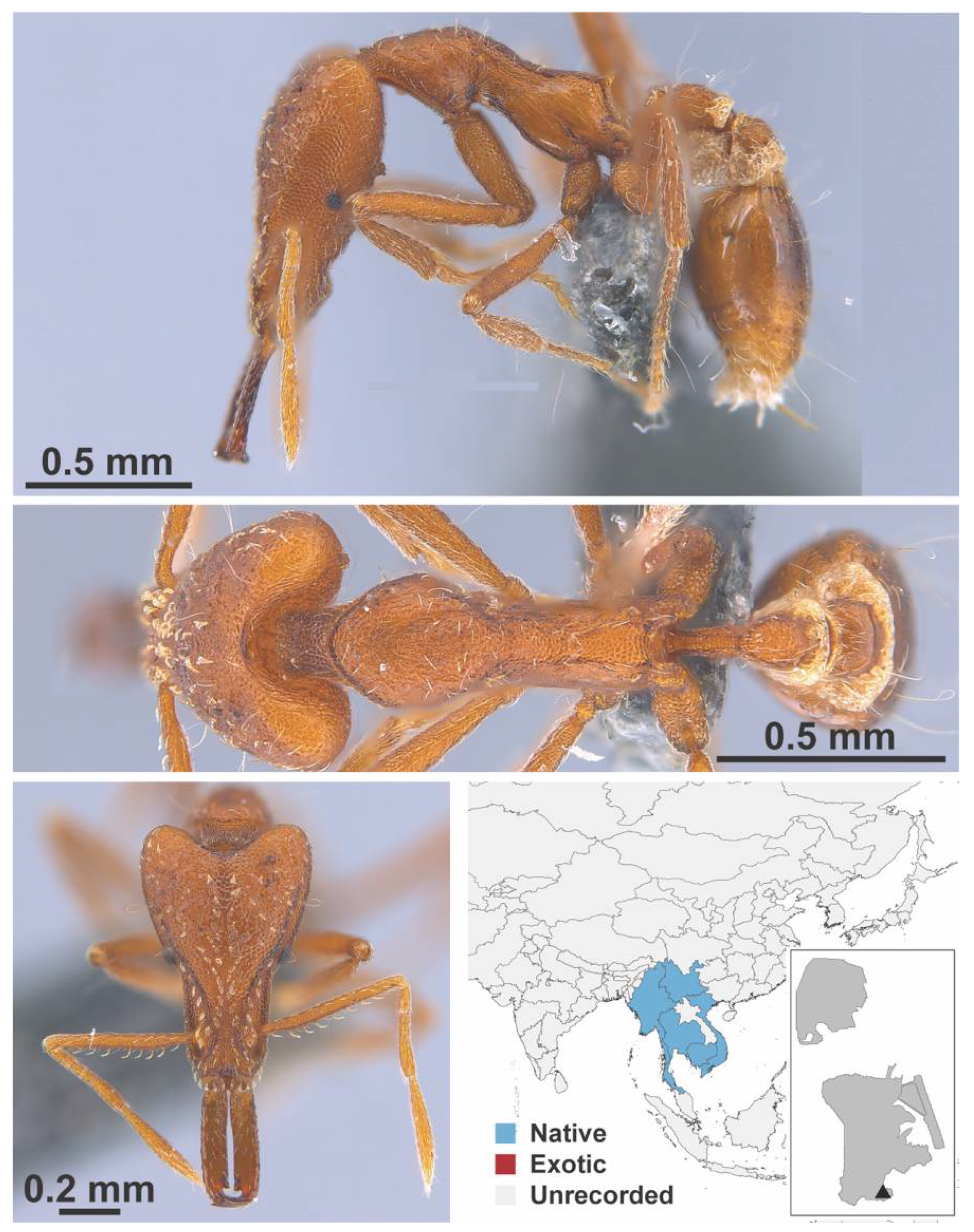 Diversity 13 00358 g0a114