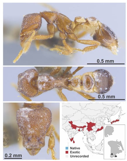 Diversity 13 00358 g0a115