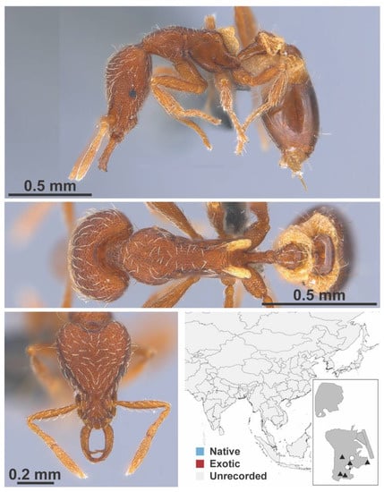 Diversity 13 00358 g0a116