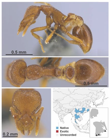 Diversity 13 00358 g0a118