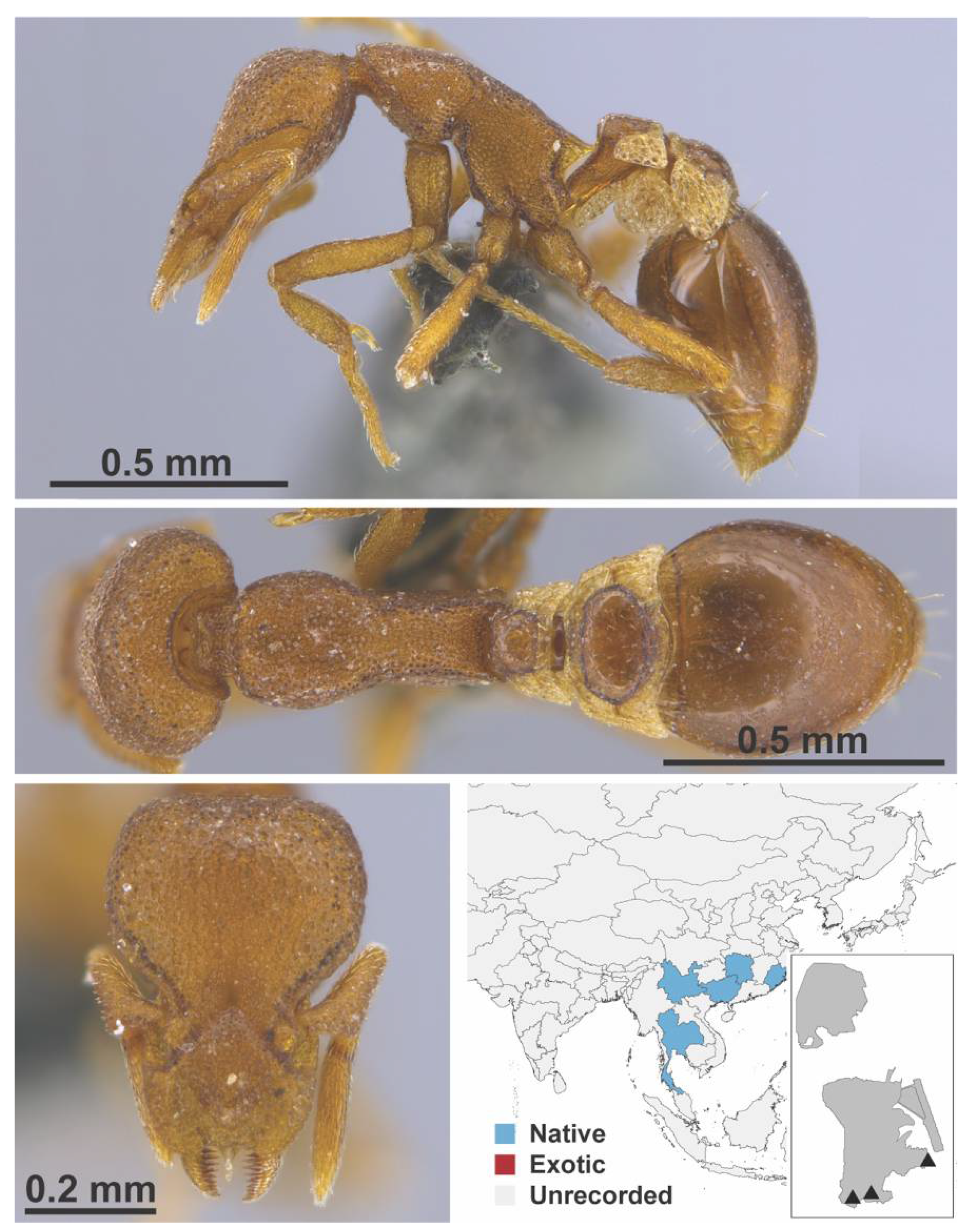 Diversity 13 00358 g0a118