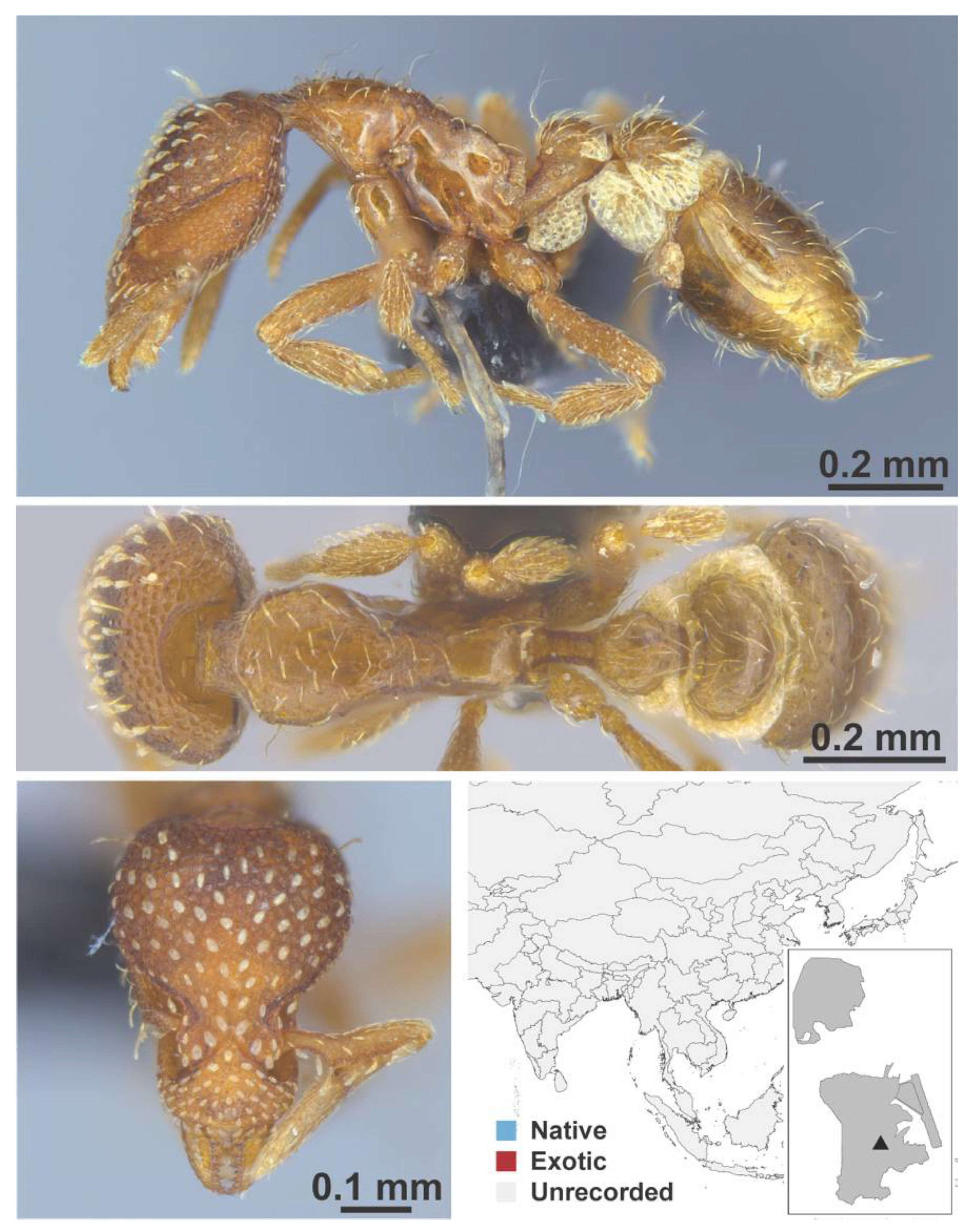 Diversity 13 00358 g0a119