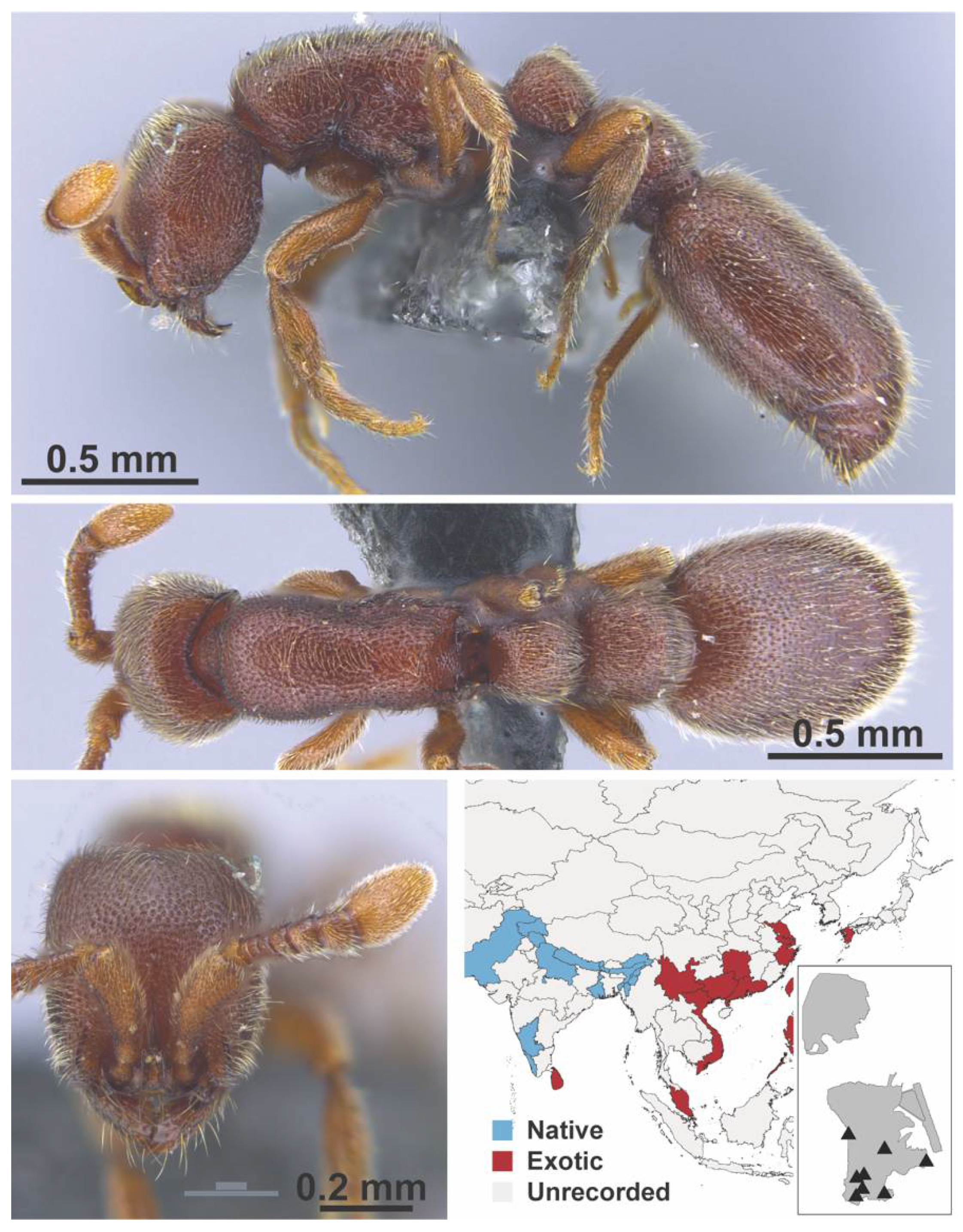 Diversity 13 00358 g0a12