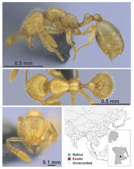 Diversity 13 00358 g0a120