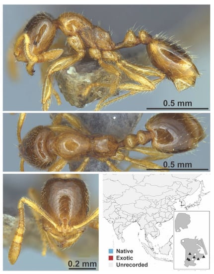 Diversity 13 00358 g0a121