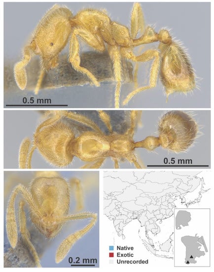 Diversity 13 00358 g0a122