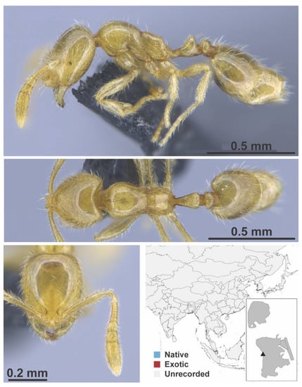 Diversity 13 00358 g0a123