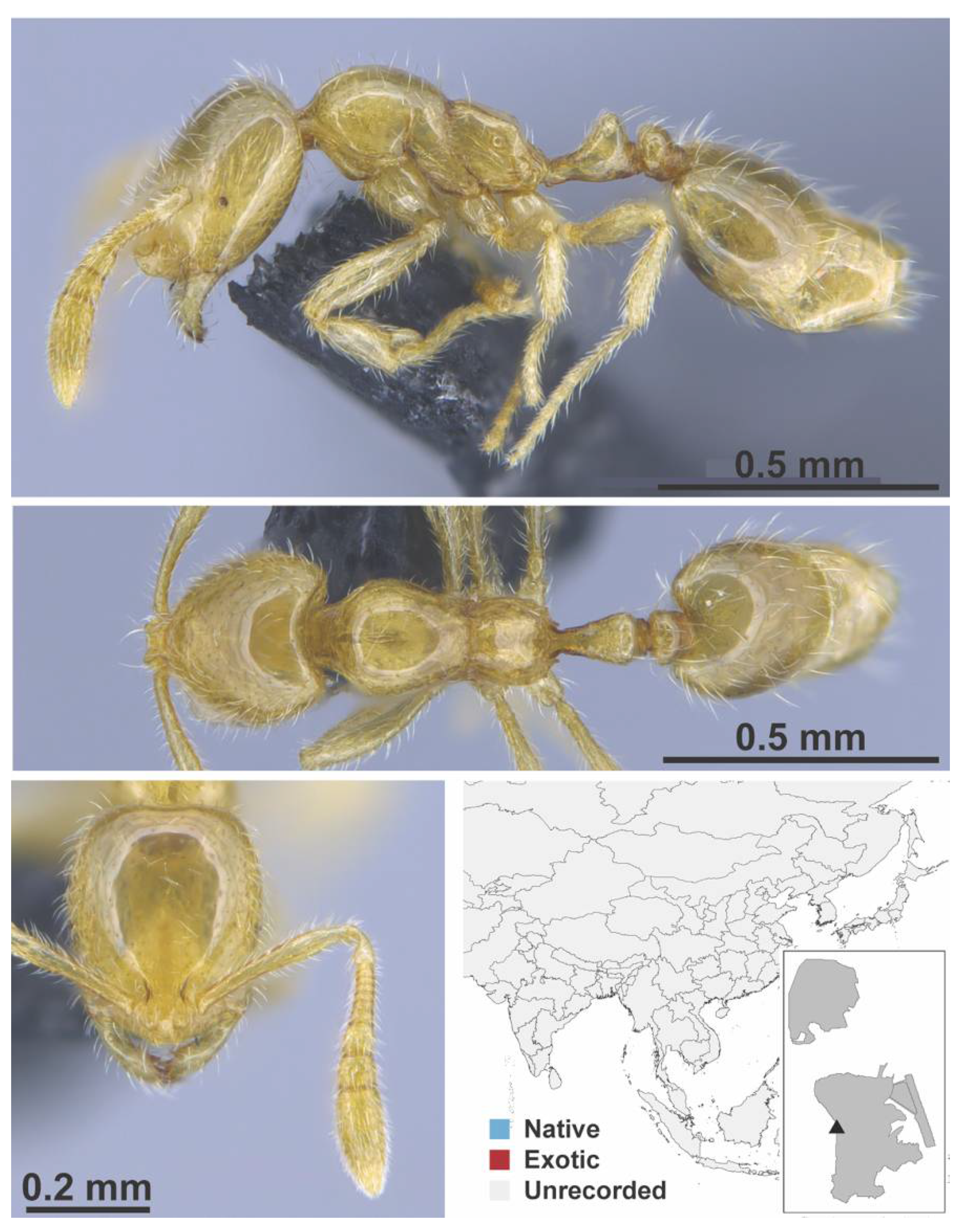 Diversity 13 00358 g0a123