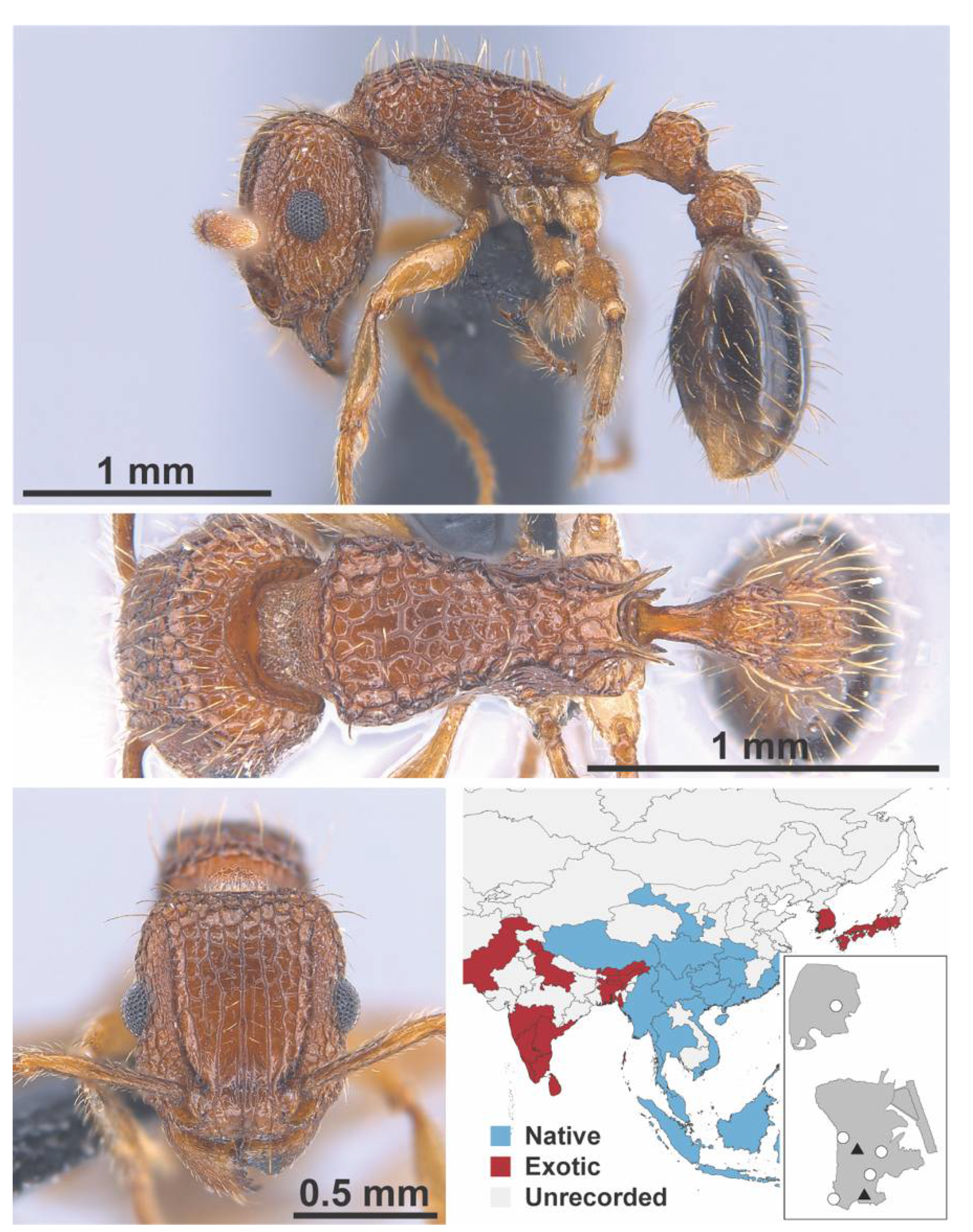 Diversity 13 00358 g0a124