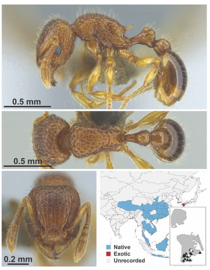 Diversity 13 00358 g0a127