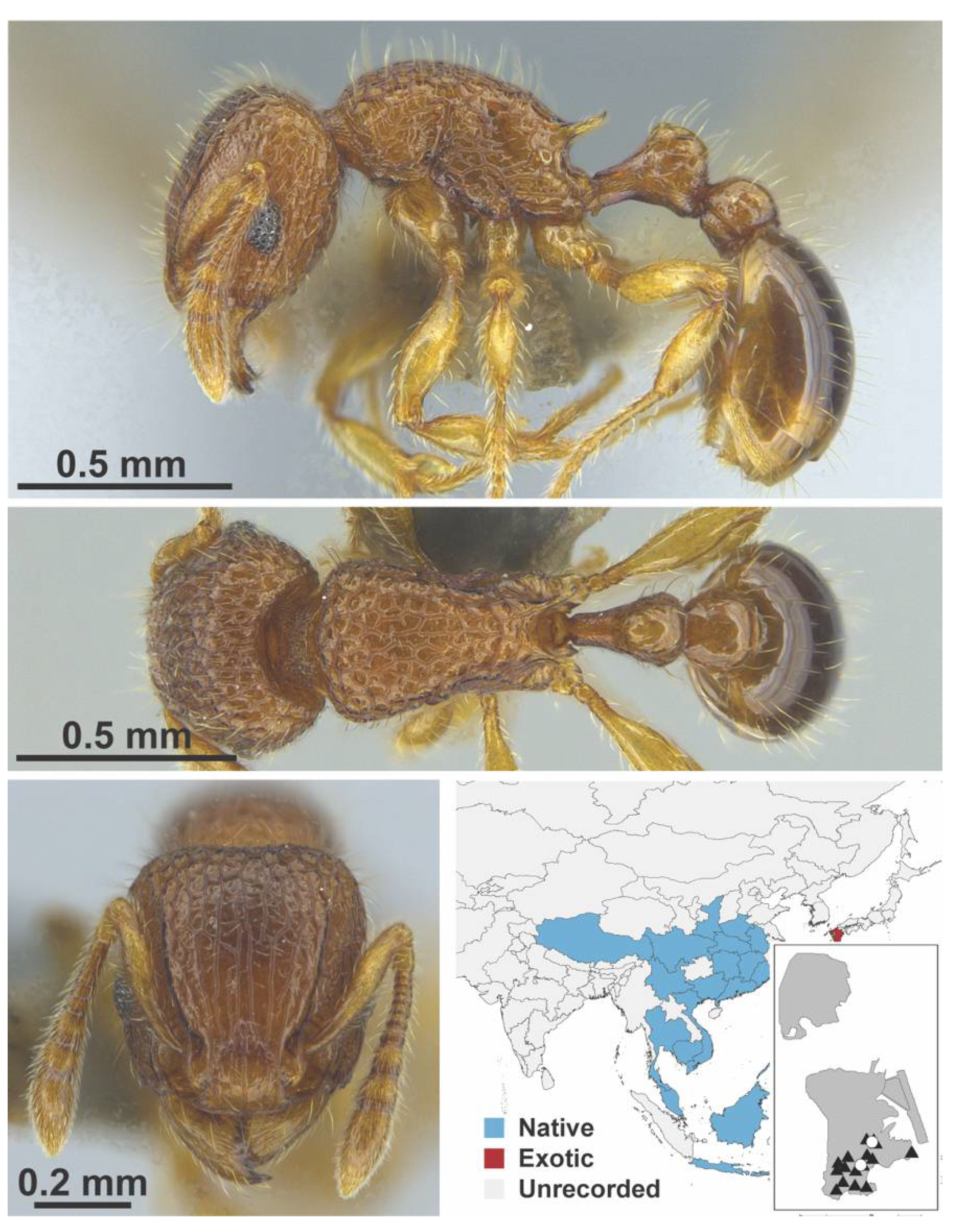 Diversity 13 00358 g0a127