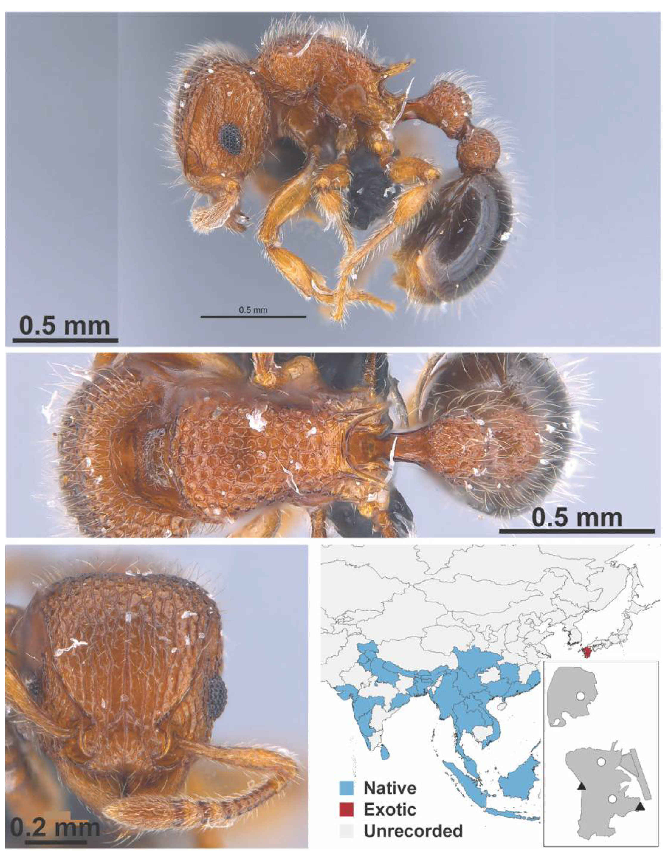Diversity 13 00358 g0a128